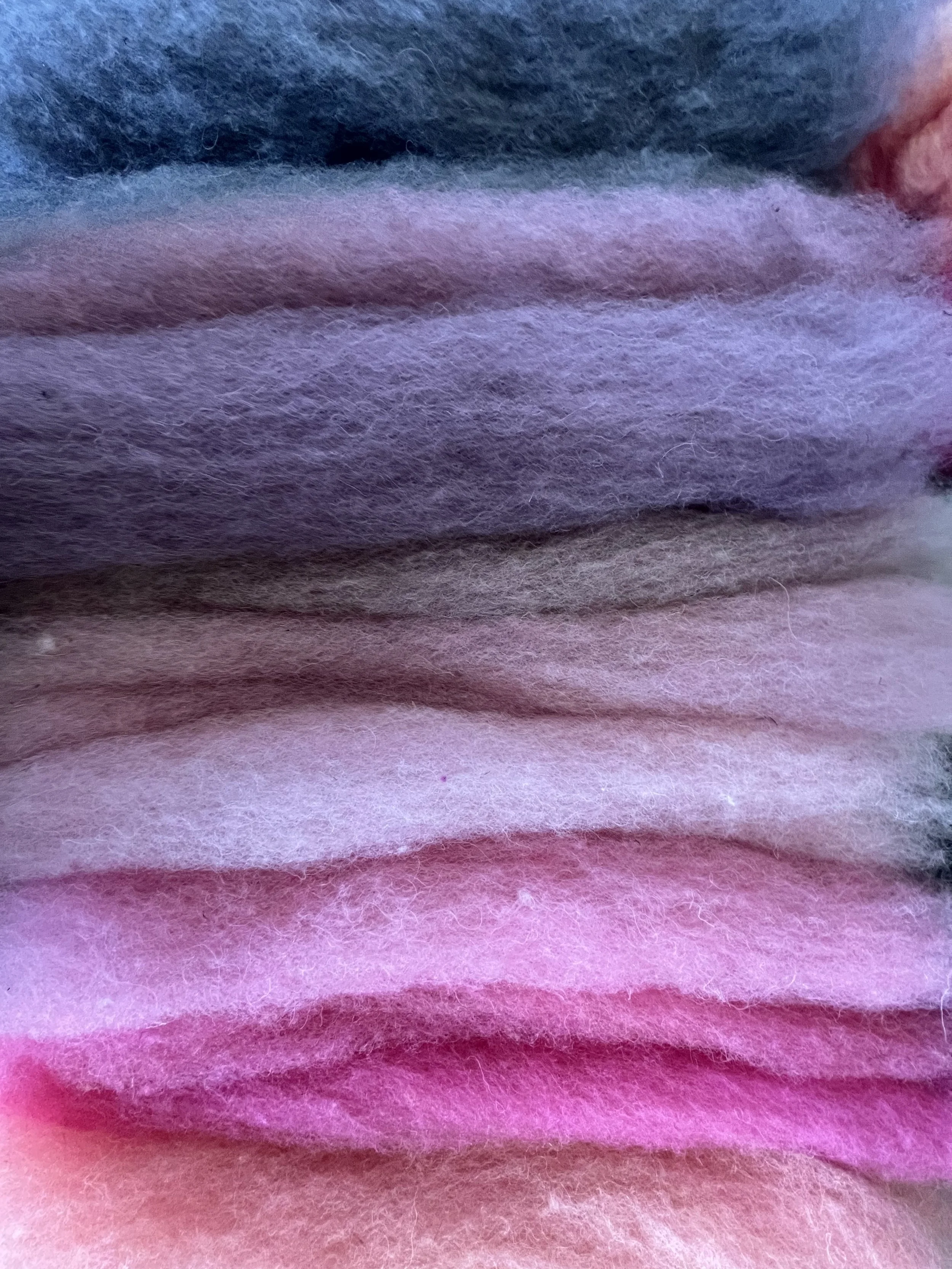 purple roving.jpg