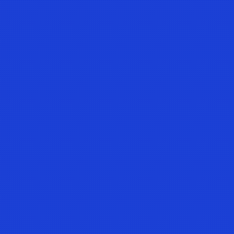 Untitled_Artwork 39.gif