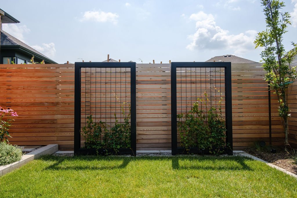 A backyard with a wooden fence, two metal trellises with climbing plants, a patch of green grass, and a single small tree to the right.