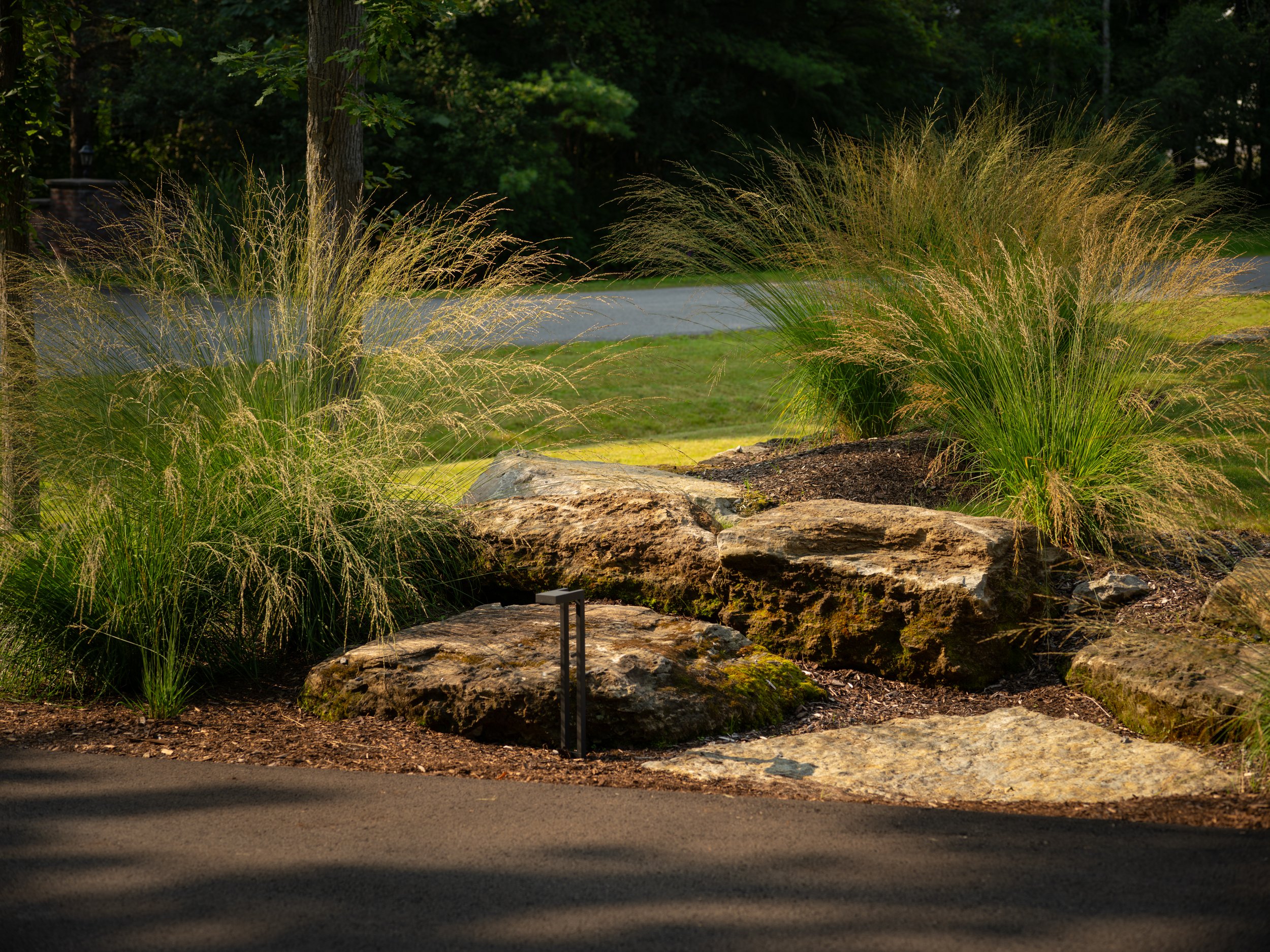 A zen, spa-like garden features large stones, ornamental grasses, and a paved path under dappled sunlight. Trees and a road gracefully appear in the background.