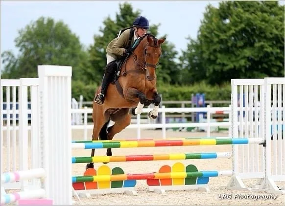 International horse travel support for horses travelling between the UK and Europe