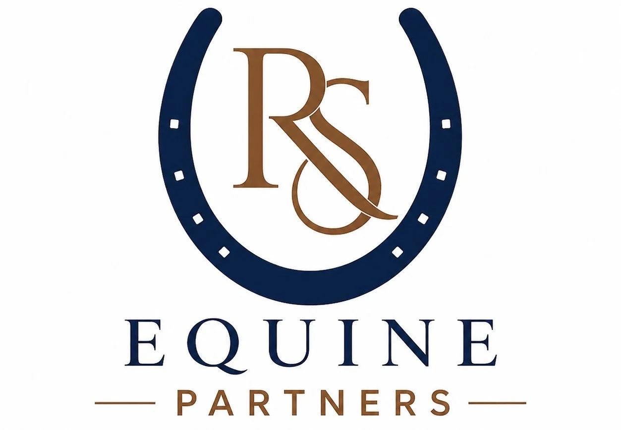 International horse travel support for horses travelling between the UK and Europe