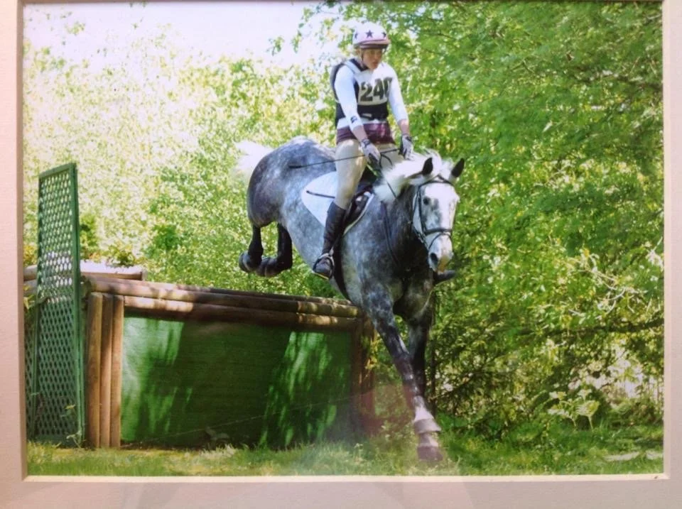Horse export paperwork preparation for international horse travel between the UK and Europe