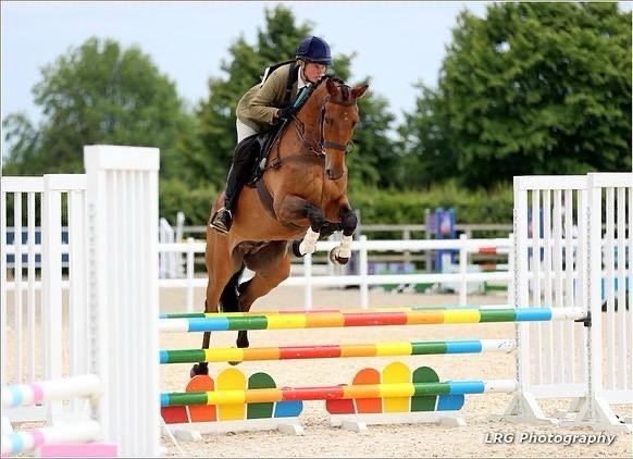 Showjumping travel support for international competition