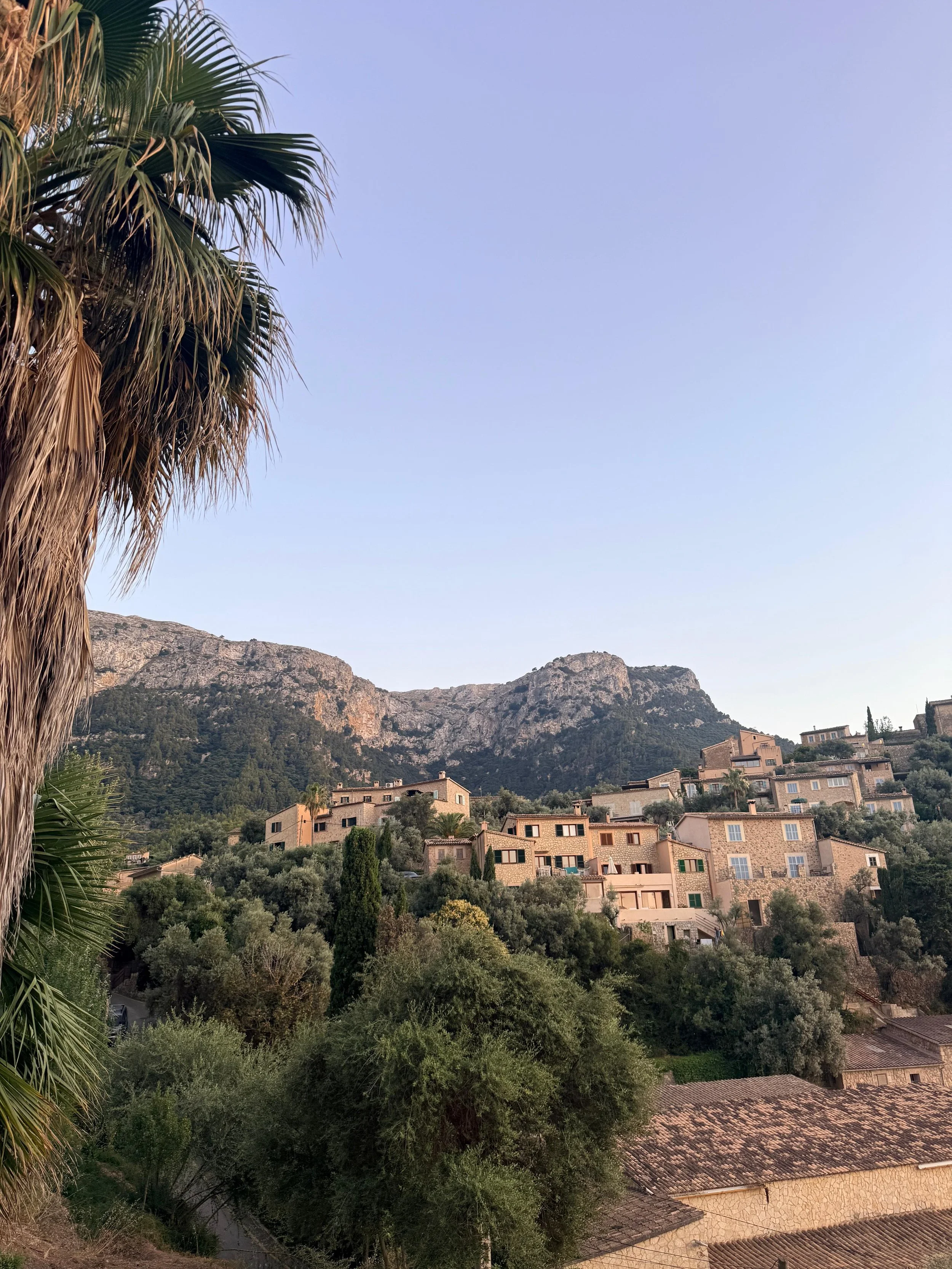 Houses built on a hillside surrounded by trees with mountainous terrain in the background under a clear sky.