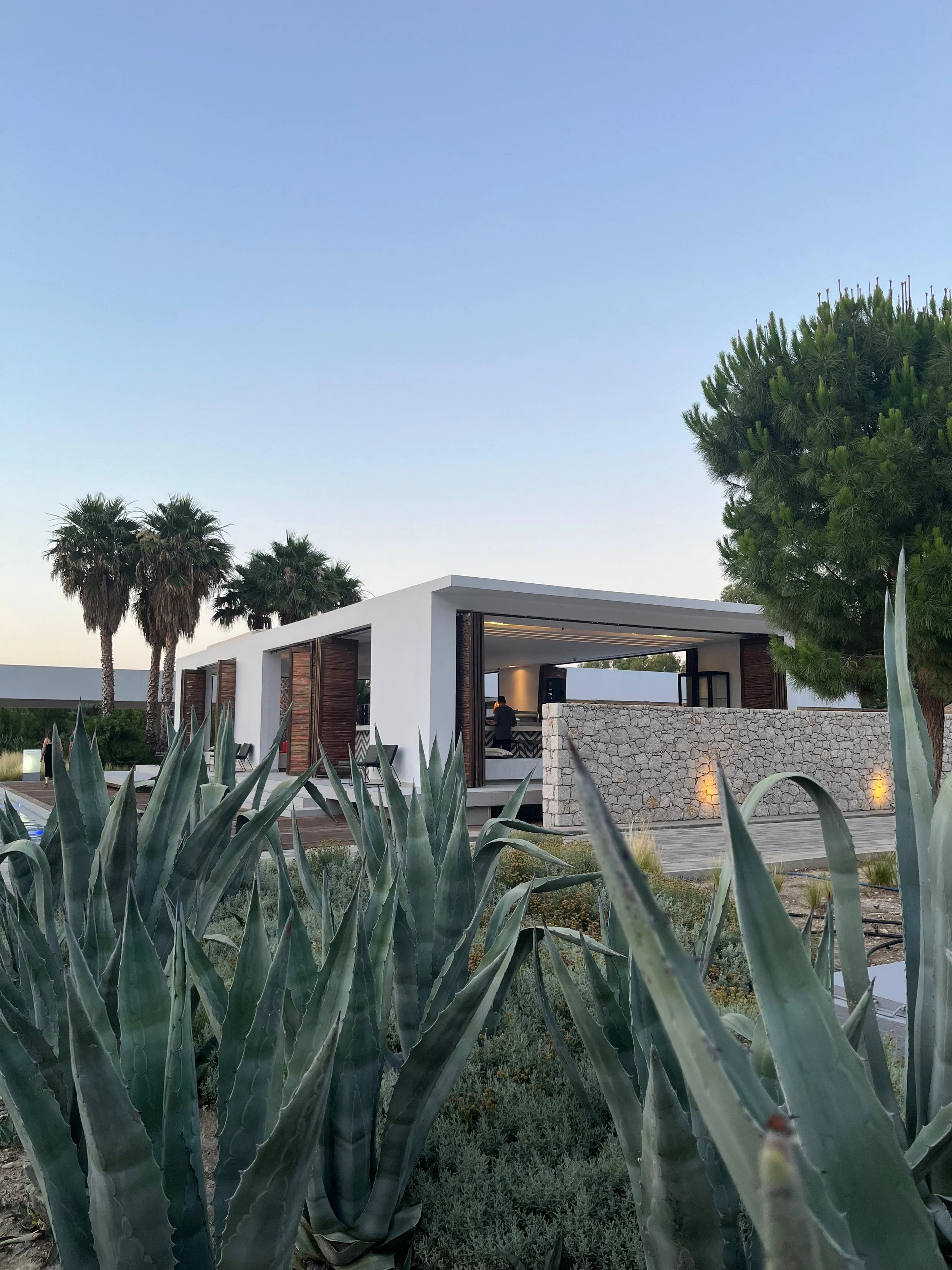 A modern building with an open patio area, surrounded by desert plants and palm trees, under a clear blue sky at sunset.