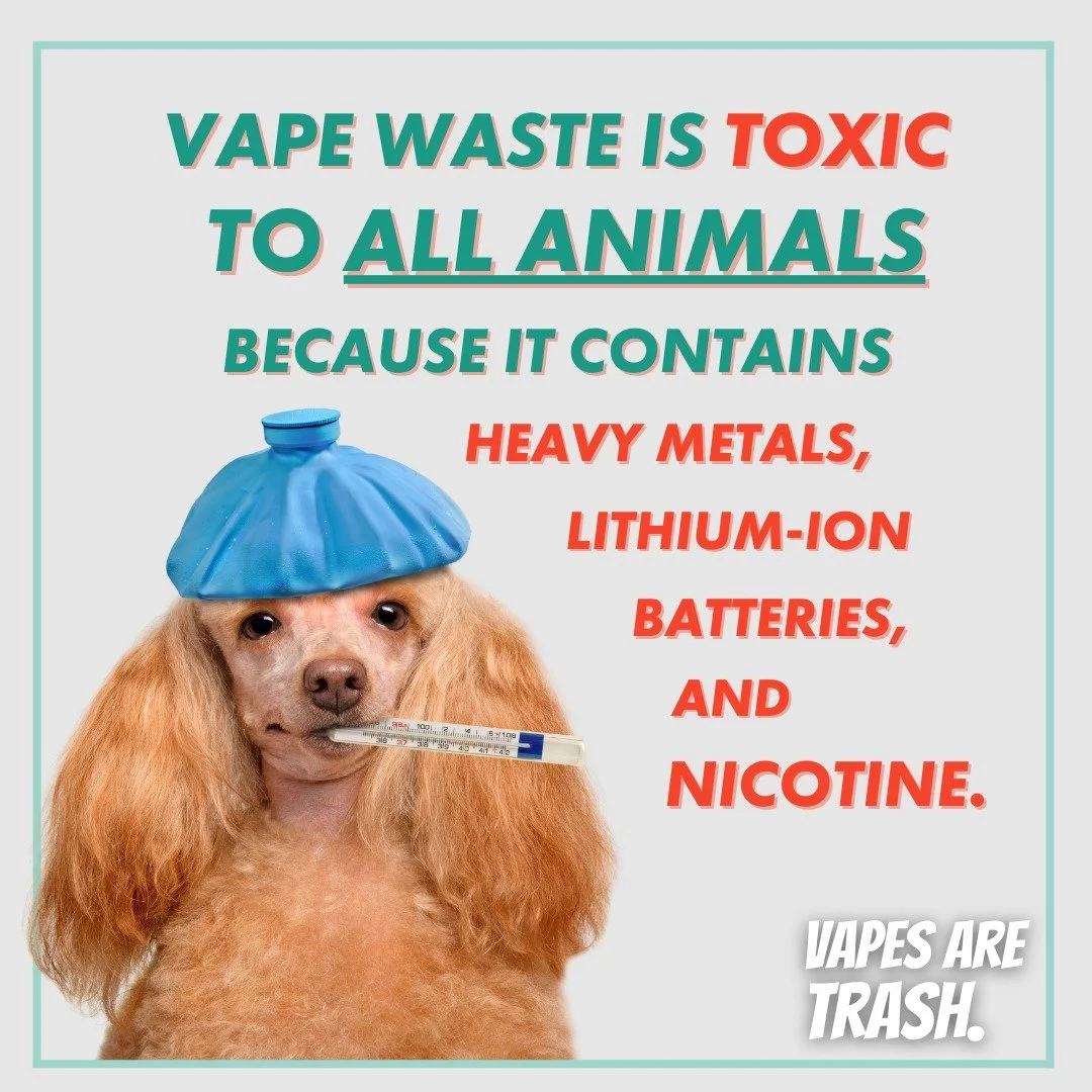 Hey NYC pet owners, don&rsquo;t let your dog or cat snack on vape trash in the streets or at home. Pets may be at risk of deadly nicotine toxicity within 15-30 min of swallowing a vape e-liquid. Protect animals. Protect the environment. Don&rsquo;t g