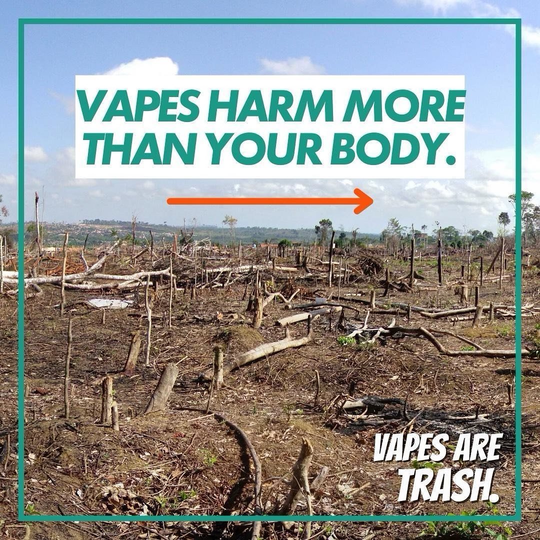 Vapes harm the planet throughout their entire lifecycle &ndash; from production to disposal. Tobacco leaves are where most nicotine comes from. Protect the environment. Protect your health. Don&rsquo;t give vape and tobacco companies your money. 

Va