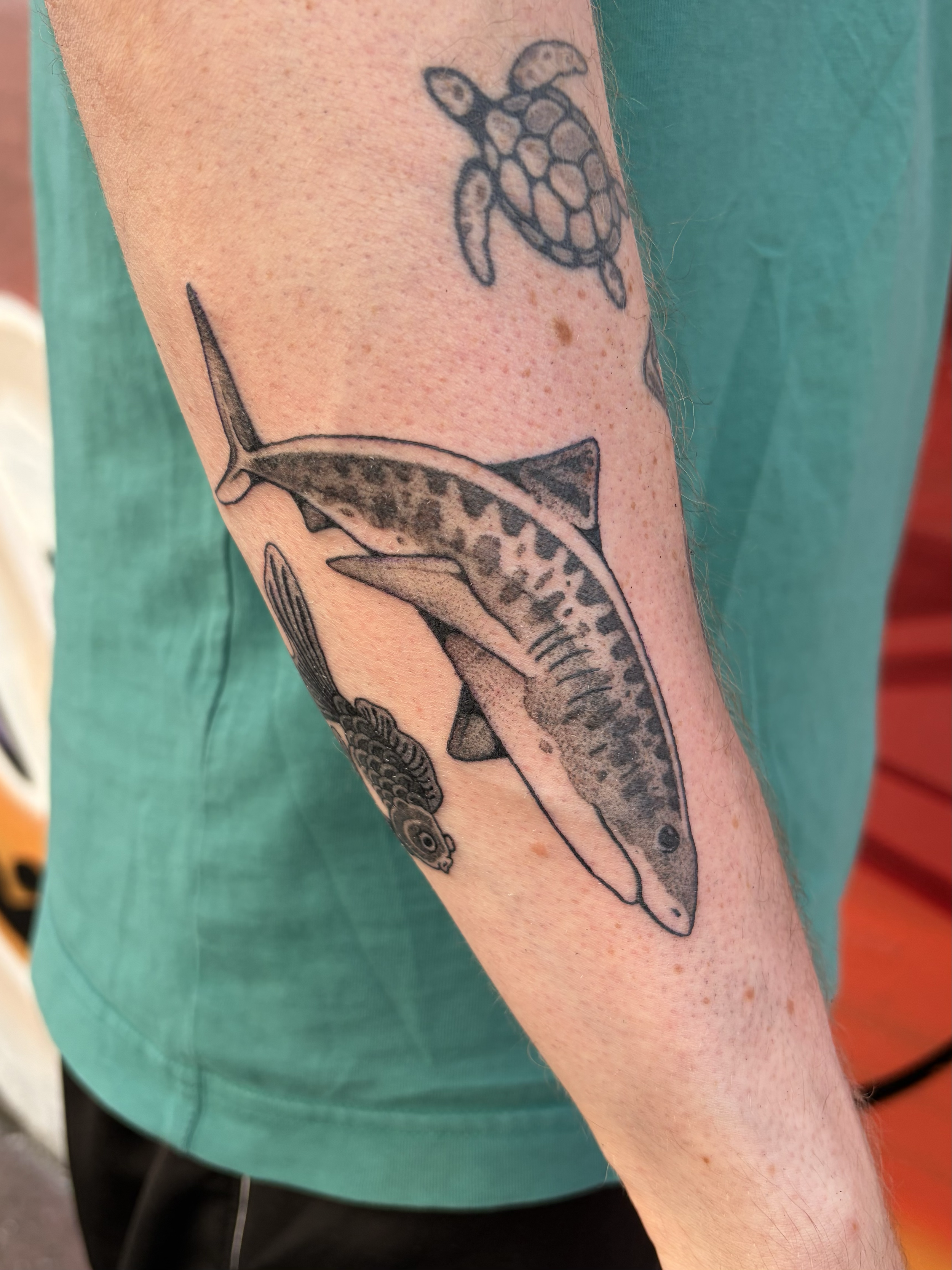 shark tattoo dotwork blackwork stippling