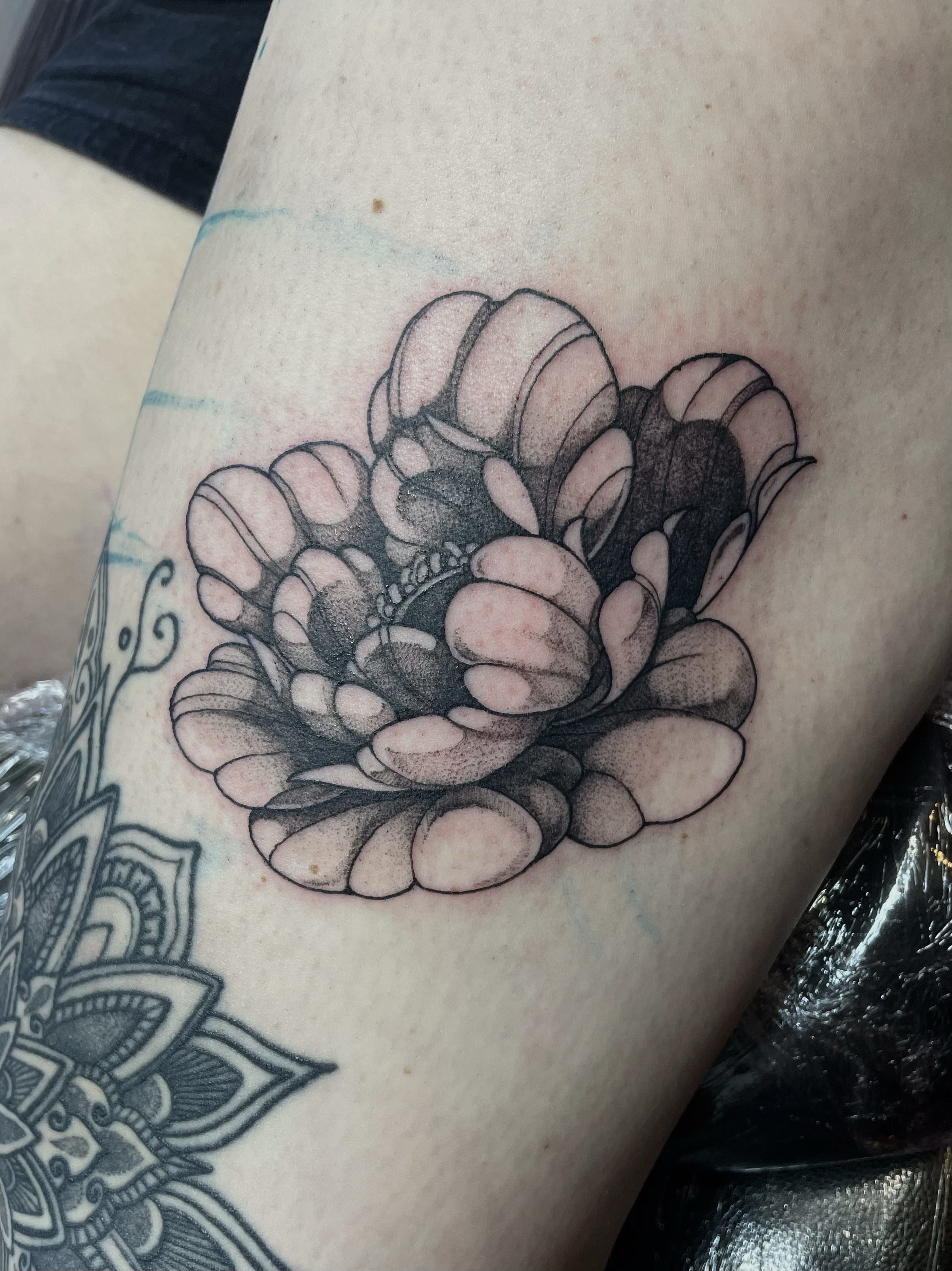 dotwork delicate peony floral flower tattoo stippling black and grey shading