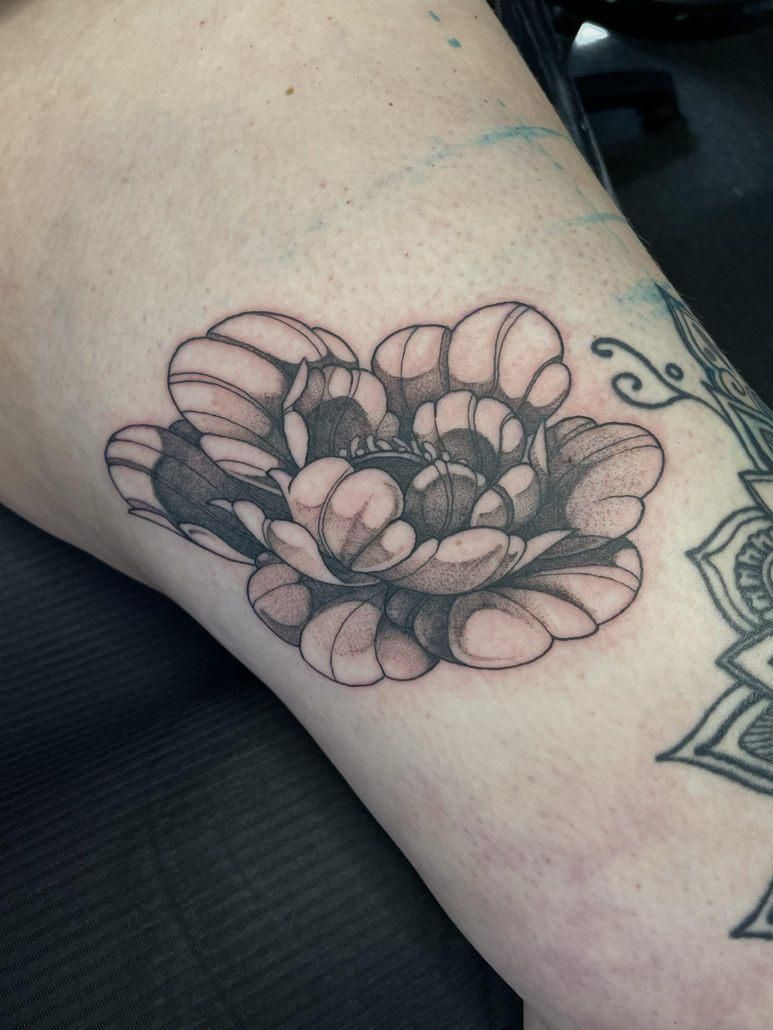 dotwork delicate peony floral flower tattoo stippling black and grey shading