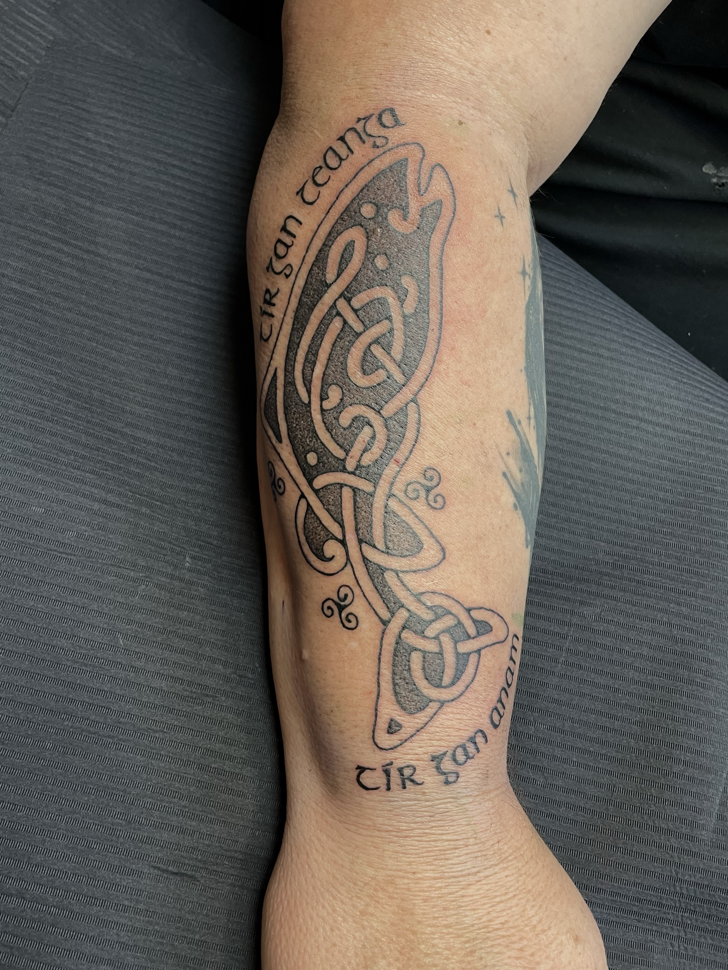 salmon of knowledge ornamental tattoo with celtic knotwork stippling dotwork irish language celtic writing tir gan teanga tir gan anam irish tattoo