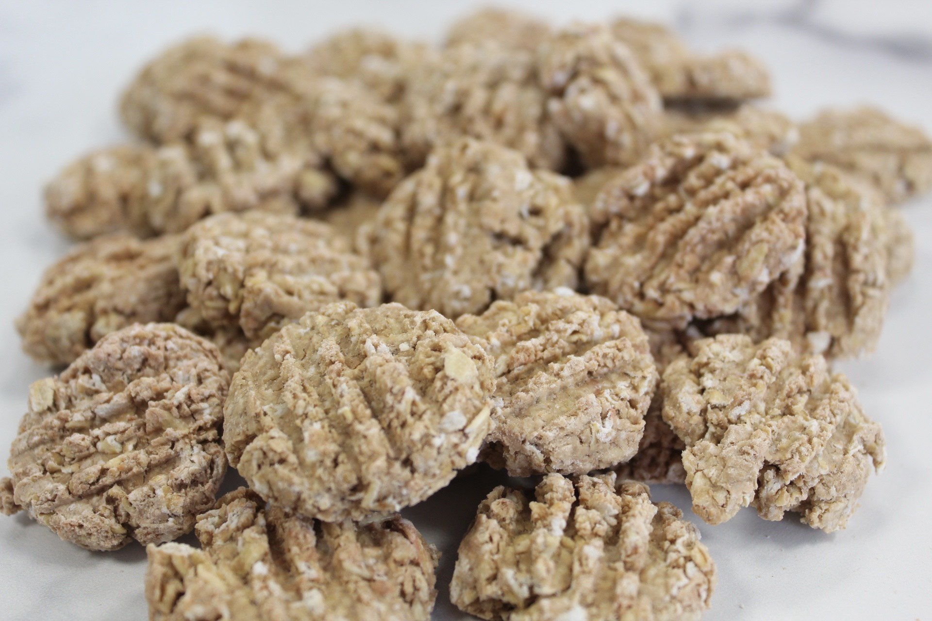 image_123650291 (1).JPG