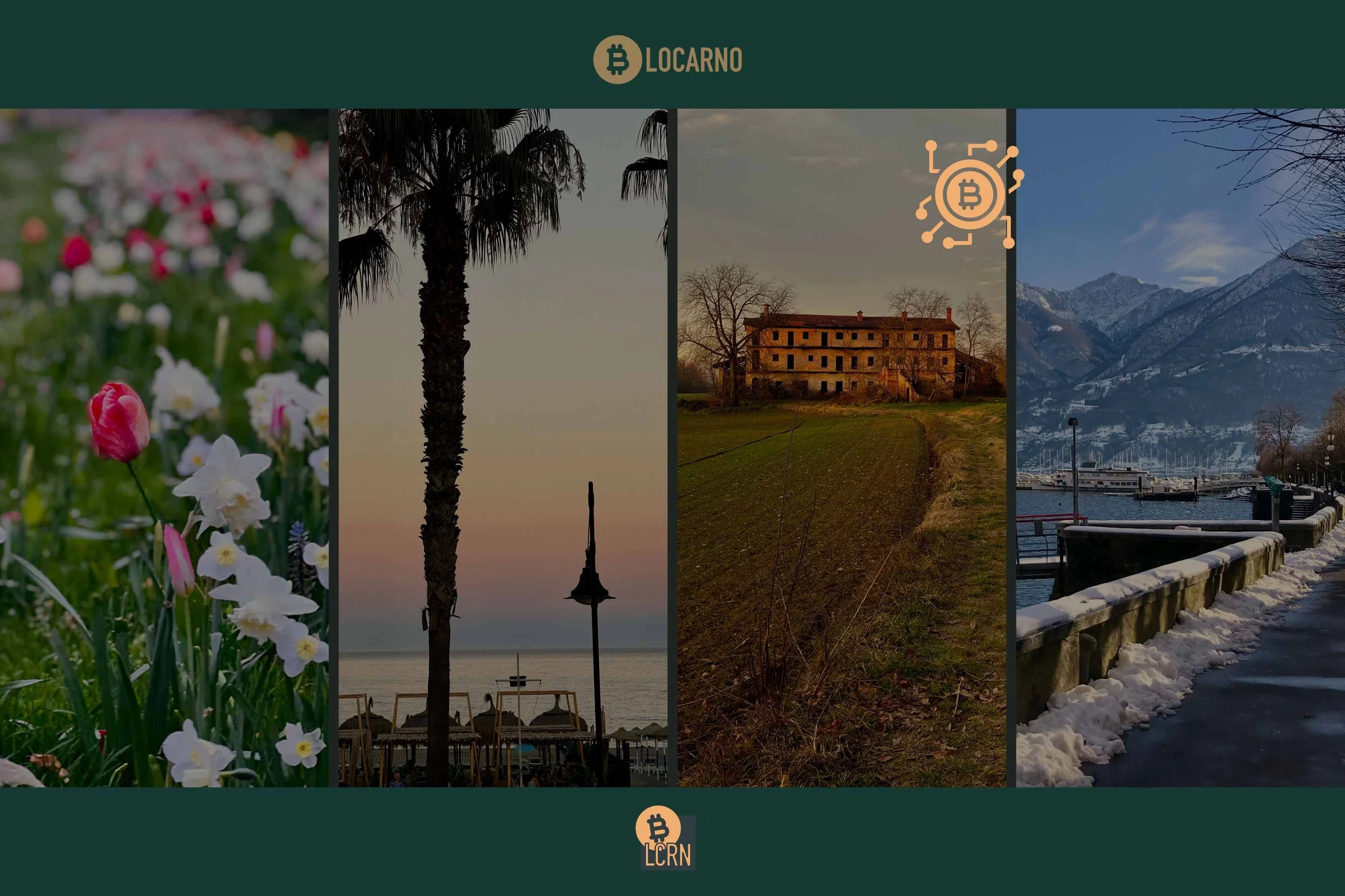 Die vier Jahreszeiten von Bitcoin – Marktpsychologie, Knappheit und der Übergang zu hartem Geld