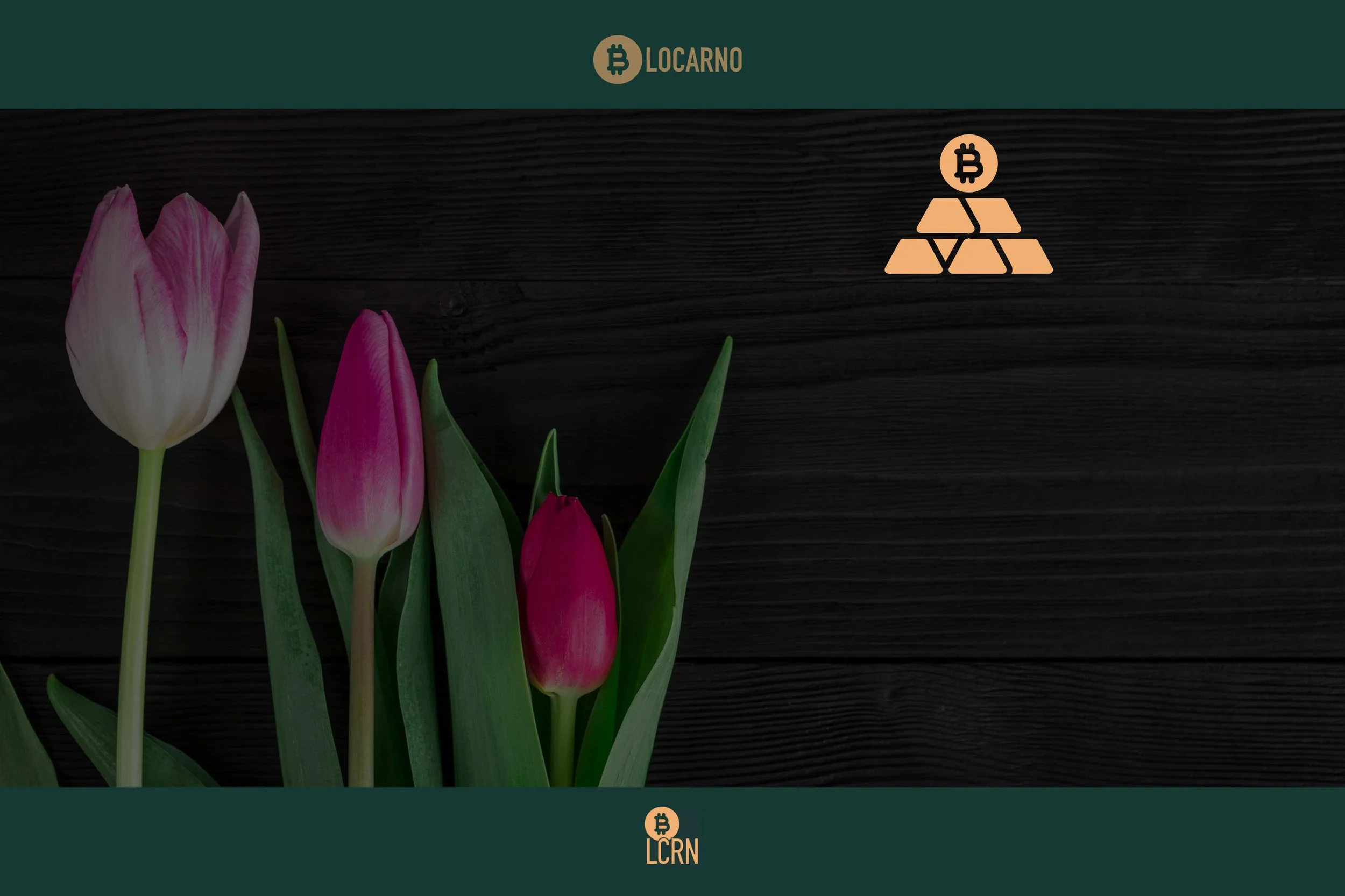 Ist Bitcoin eine Tulpenblase, Briefmarkensammlung oder Gold – Wie entsteht Wert?