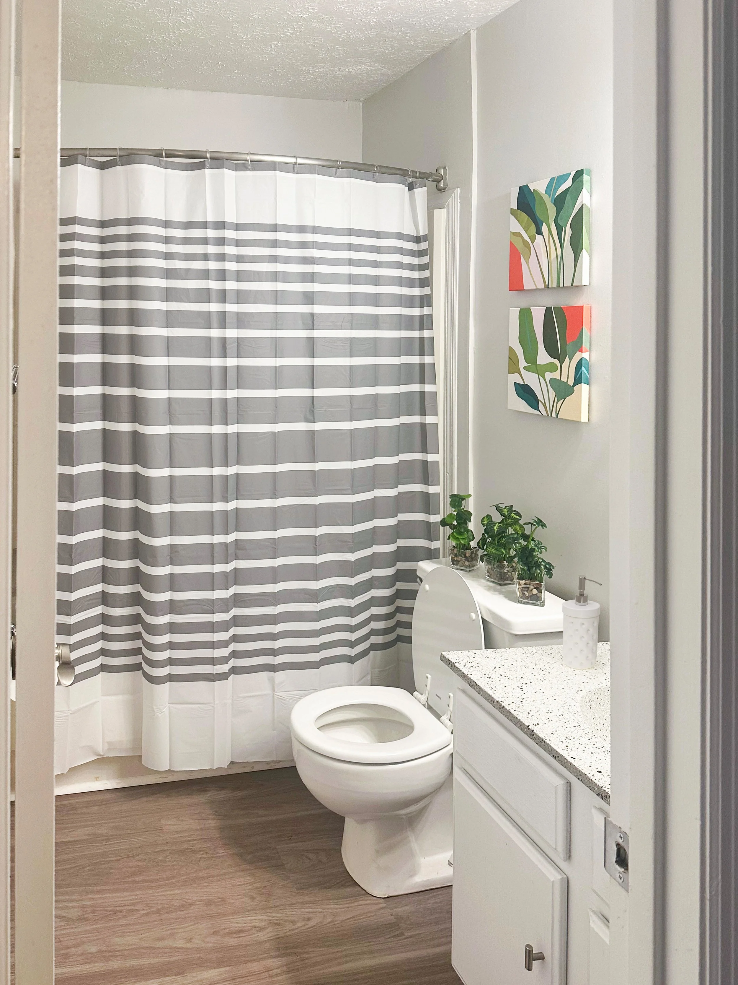 A small bathroom with a shower with a gray and white striped curtain, a toilet, and a white cabinet with a granite countertop. There are three potted plants on top of the toilet tank, two framed botanical prints on the wall, and a soap dispenser on t