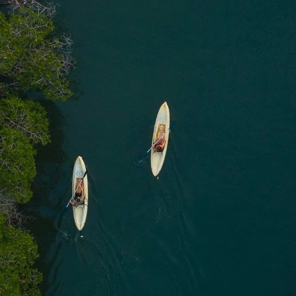 c-kayak.jpg