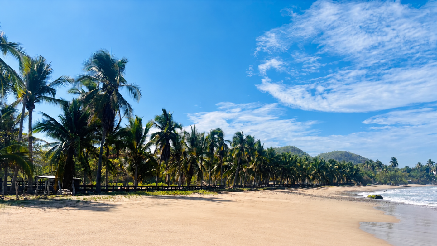 Palm trees overlooking the Pacific Ocean at La Playa Majahua