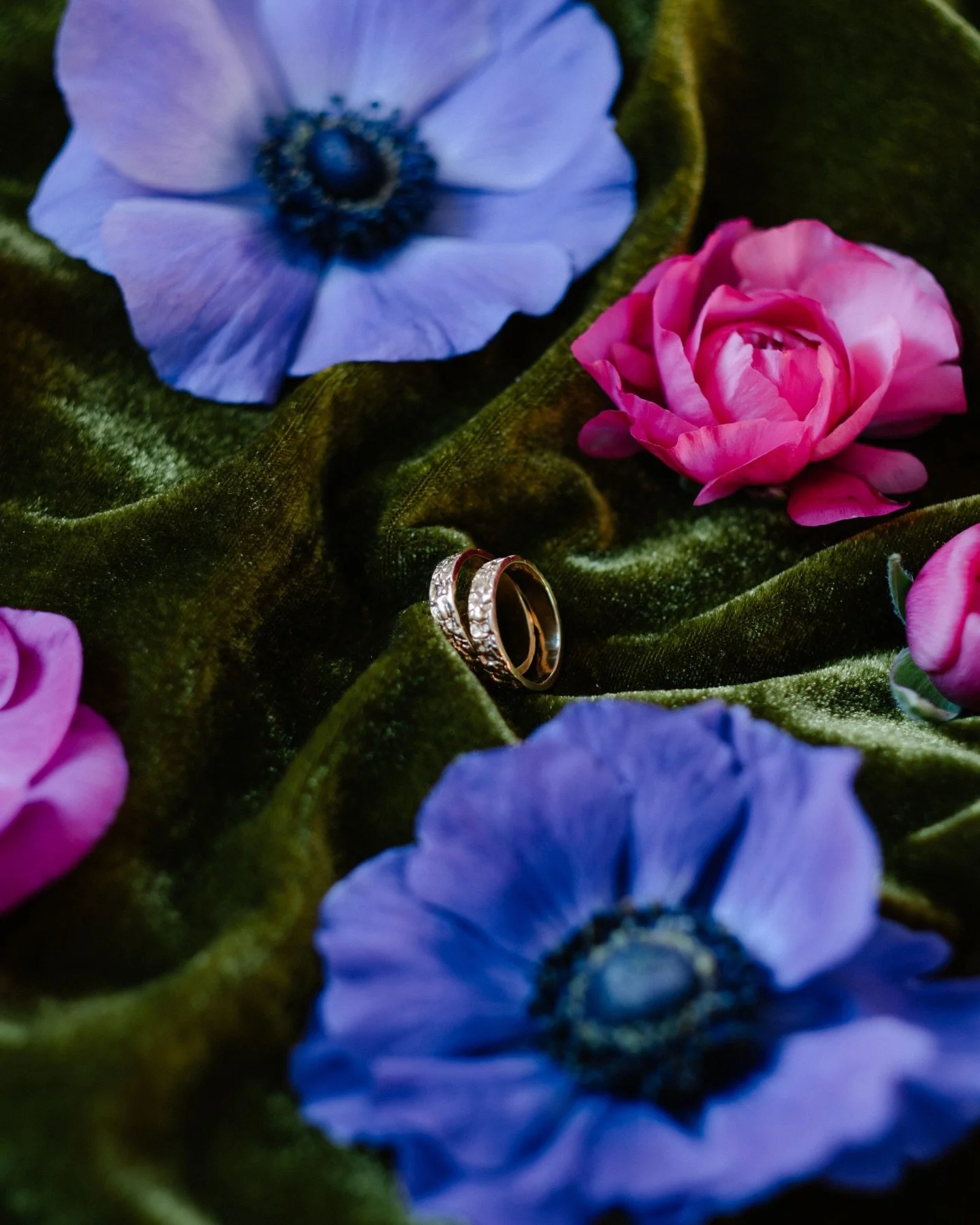 J&rsquo;ai cr&eacute;&eacute; ce shooting avec des alliances.
Les miennes. De chez @edengarden.jewelry 
Et les superbes an&eacute;mones de @wuilleminfleuristes 

Pas pour annoncer quoi que ce soit,
mais pour ouvrir la porte sur mon processus cr&eacut