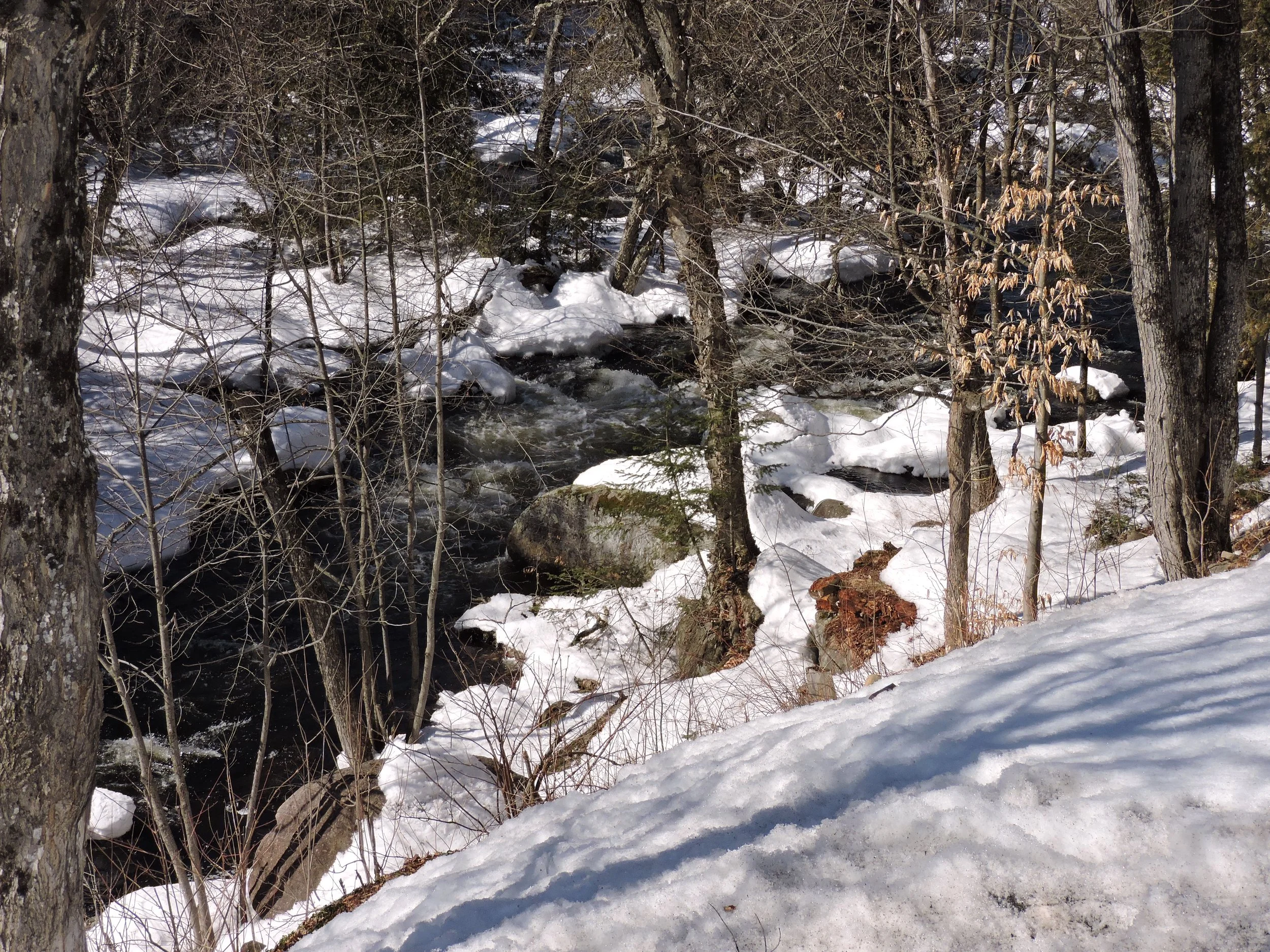 DSCN3818.JPG