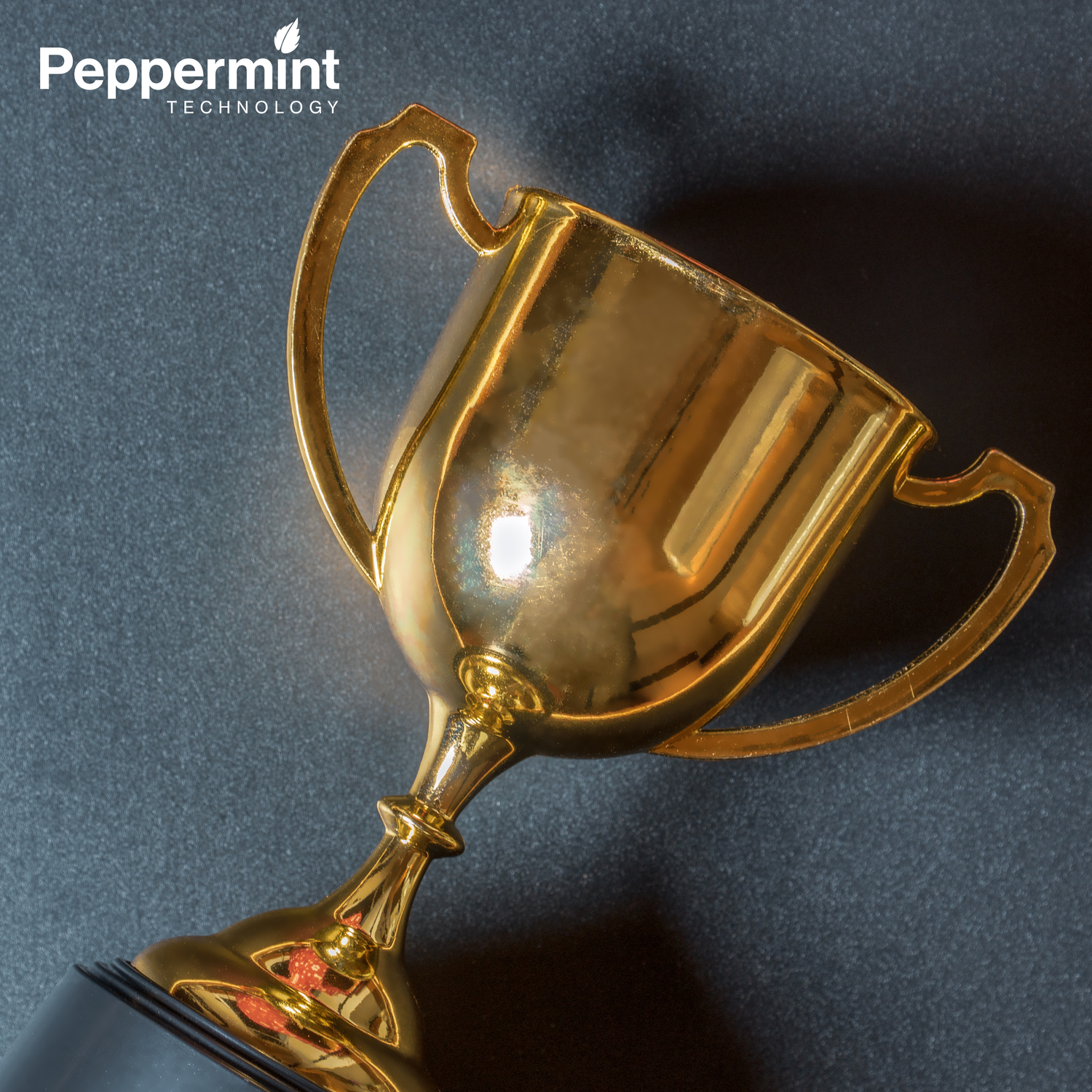 Peppermint Technology awarded Crown Commercial Services G-Cloud 13 supplier status