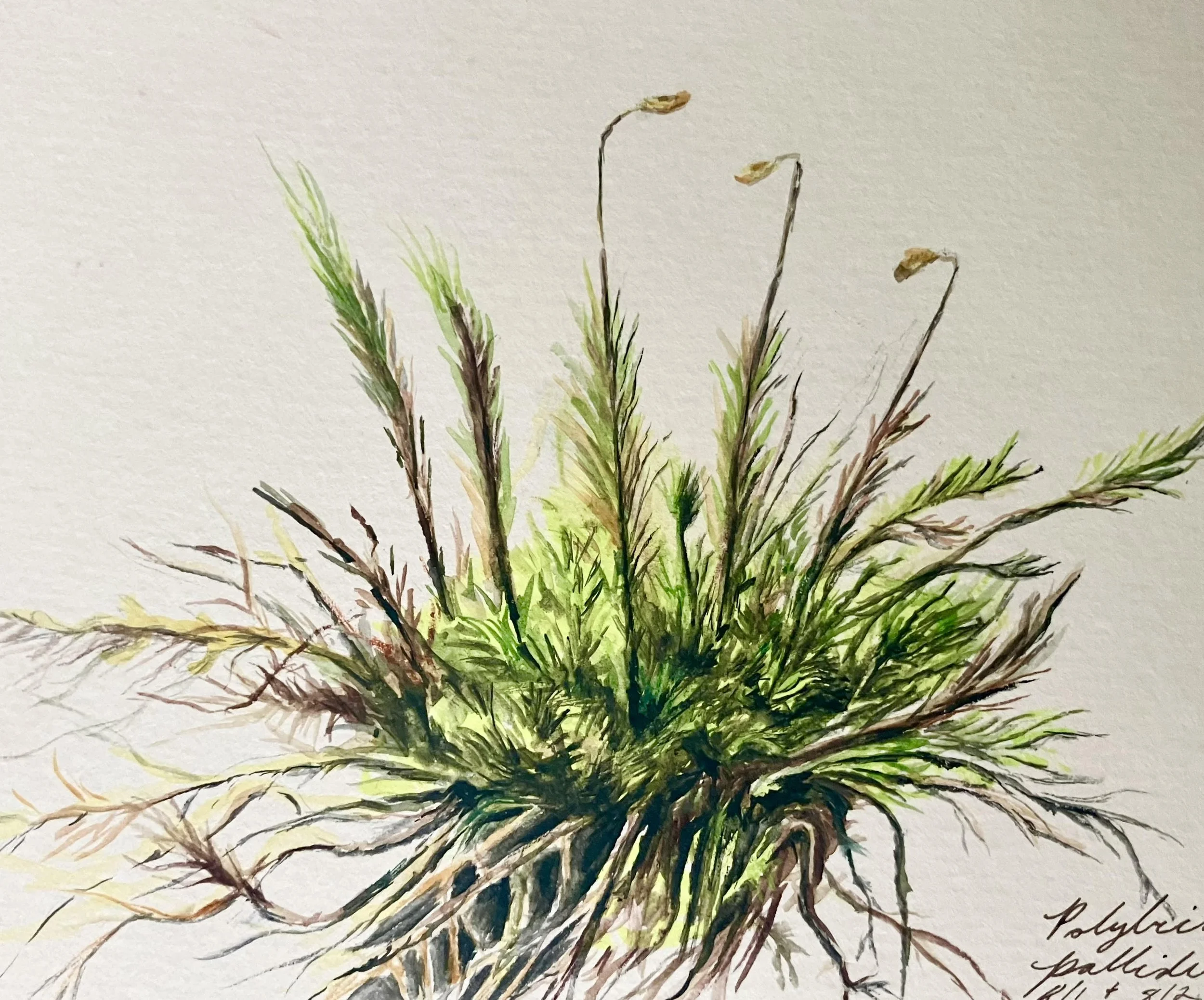 Renewal ~ Solo Exhibition