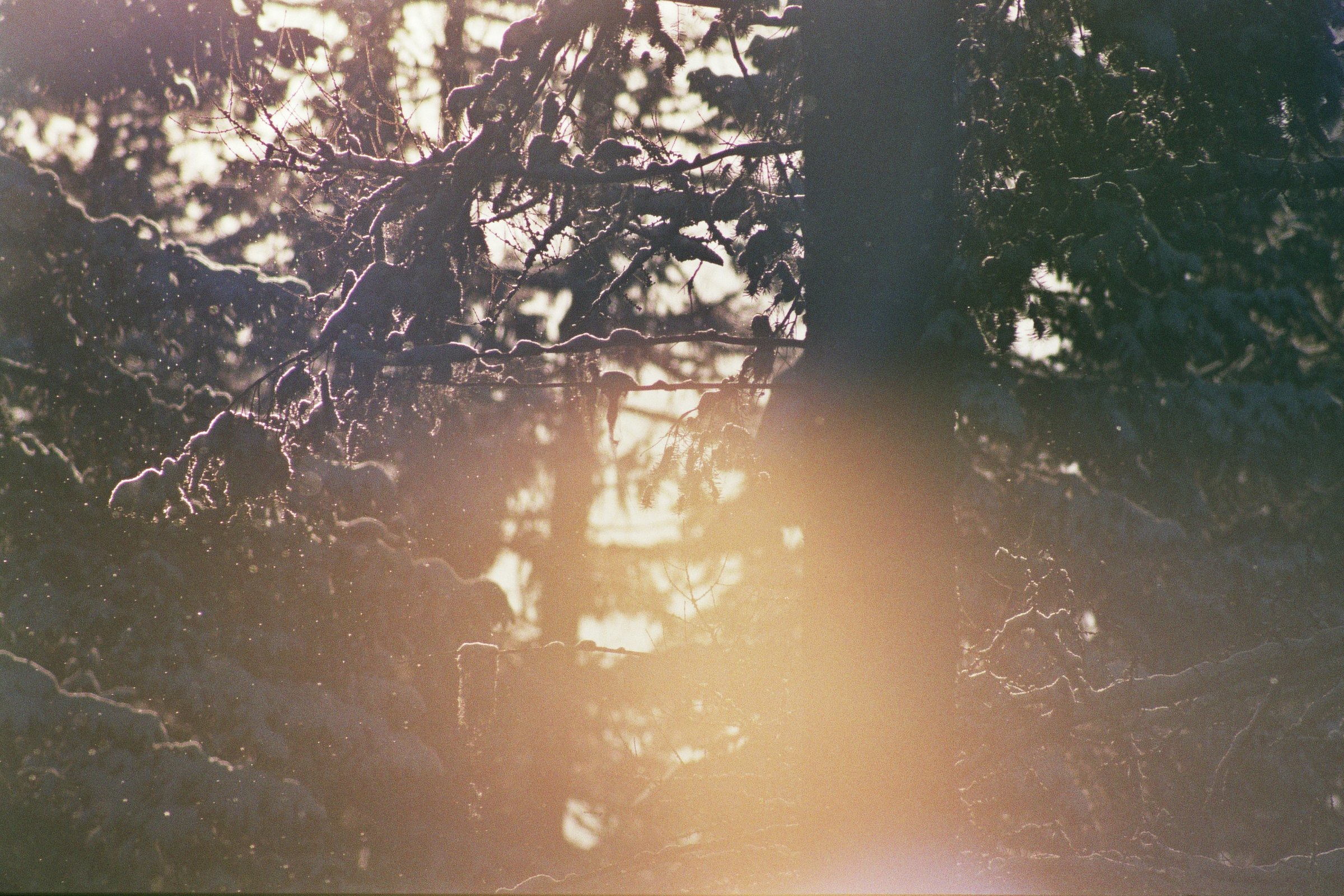 __2_00334.jpg