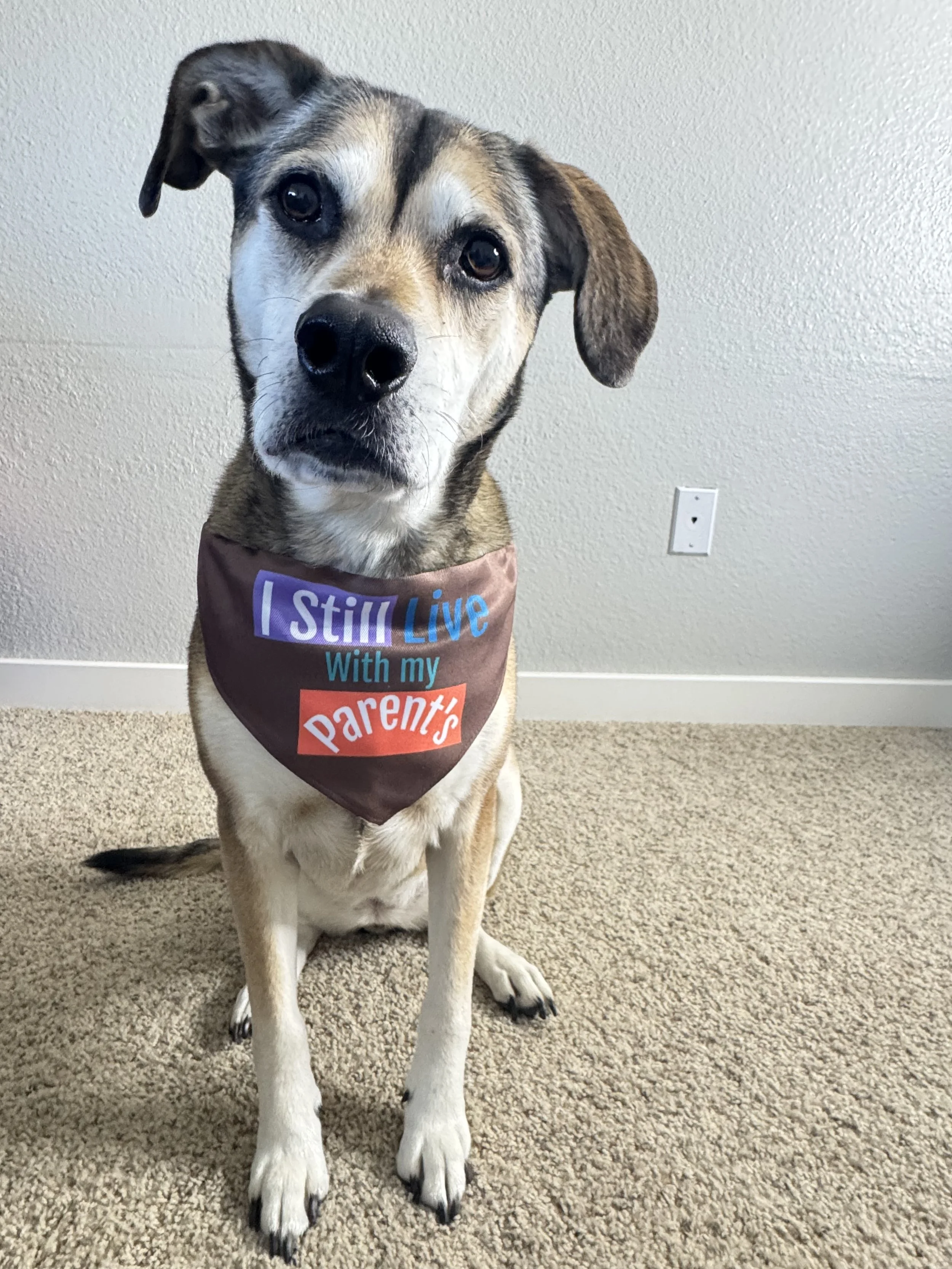 5ED77D89-AB05-4E49-8965-CB3A675BB882 (1).jpeg