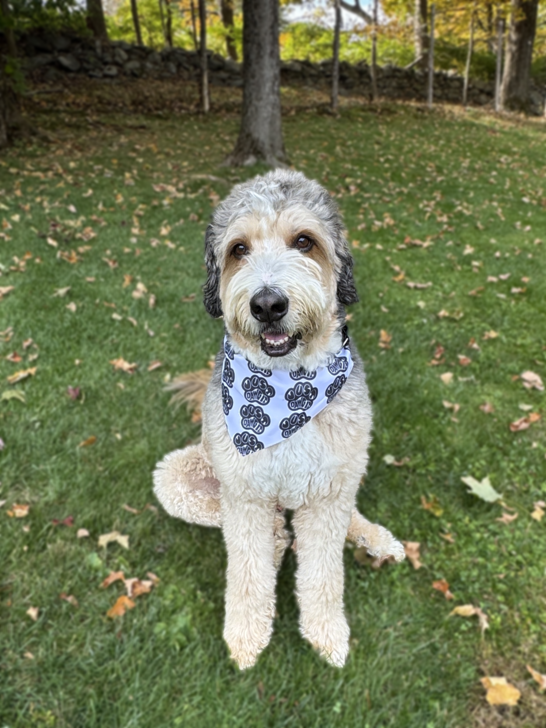 Bandana3 (1).png