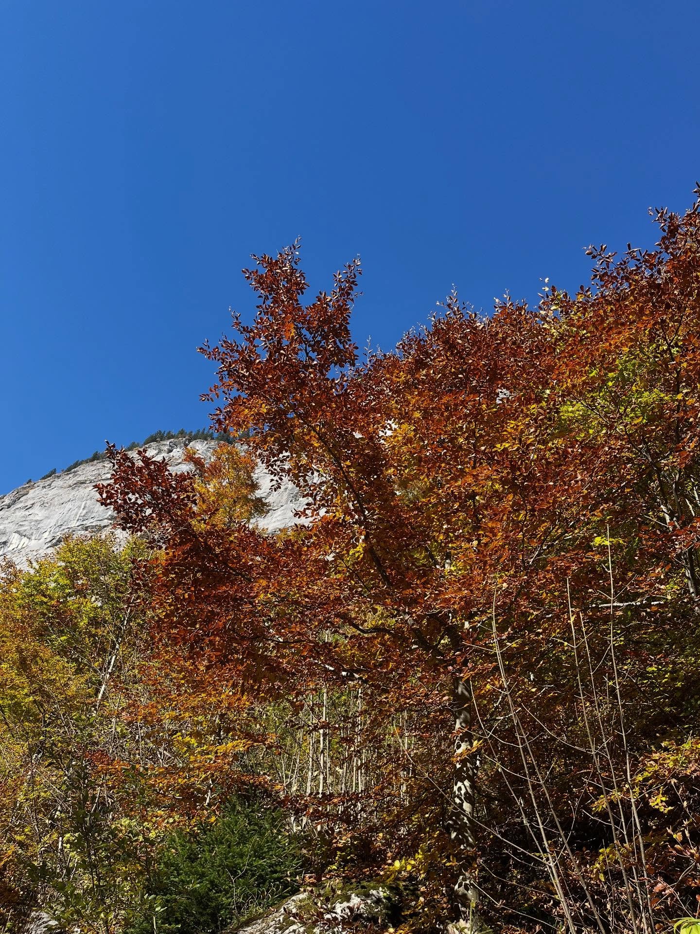 OCTOBER 

A tough one to process. The last few months I've put in so much effort into healing naturally. Dedication. Hard work. Hoping that it will work. But the thing with hope is that it can be so easily crushed by the outside. 

That was October f