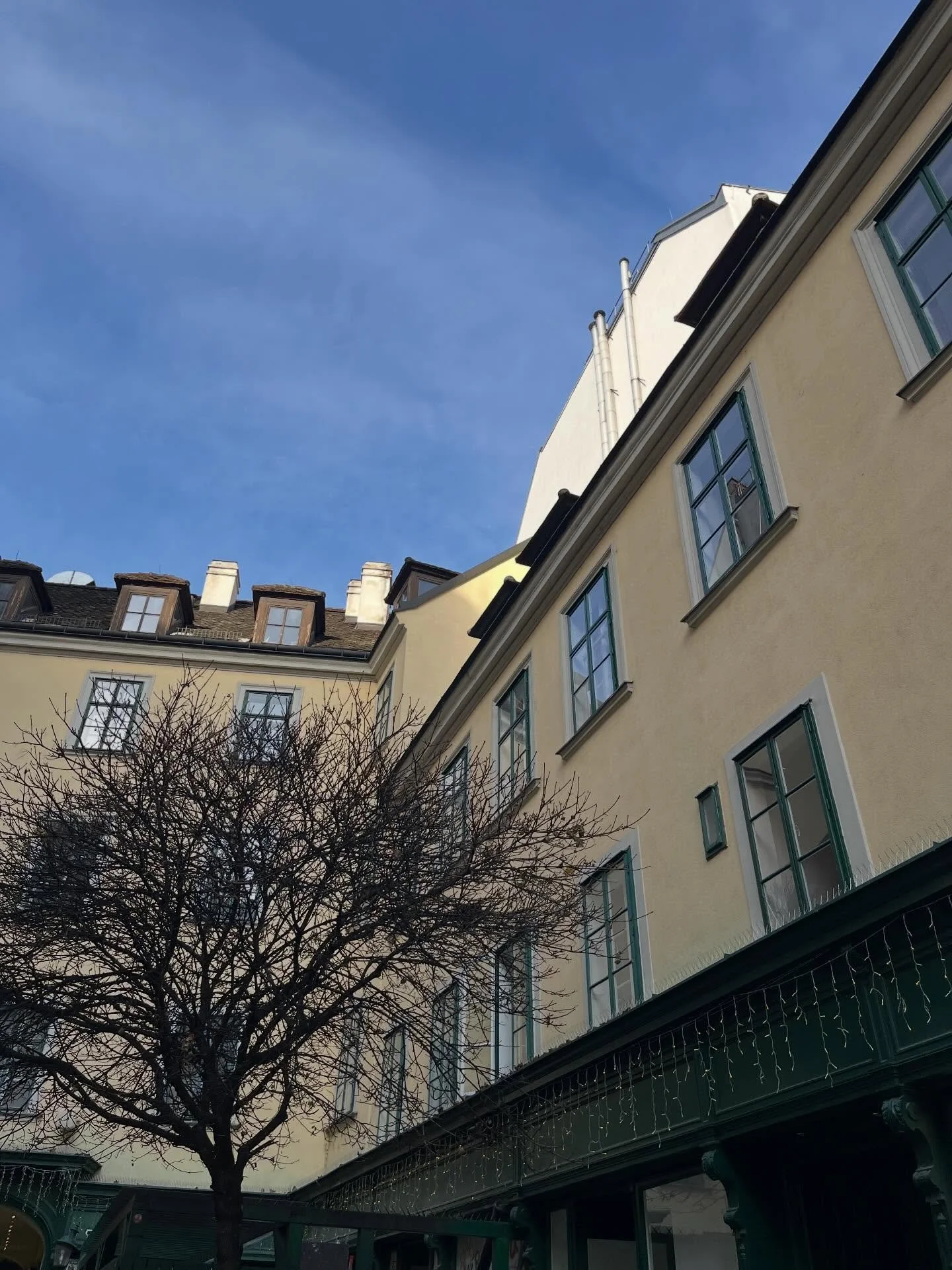 DECEMBER 

The last month of 2025 ✨ Filled with city getaways, yummy food and spending time with loved ones 🤍 

During the end of December, I always like to look back to see what happened throughout the year. How far you've come, even if it isn't wh