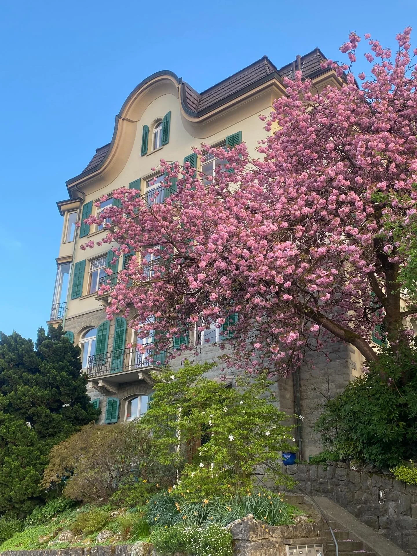 SPRING EQUNIOX 🌷🌞 

A moment of perfect balance &mdash; day and night, light and dark, yin and yang. 

This season reminds us that growth doesn&rsquo;t have to be rushed. Like nature slowly waking up from winter sleep, our bodies and souls are slow