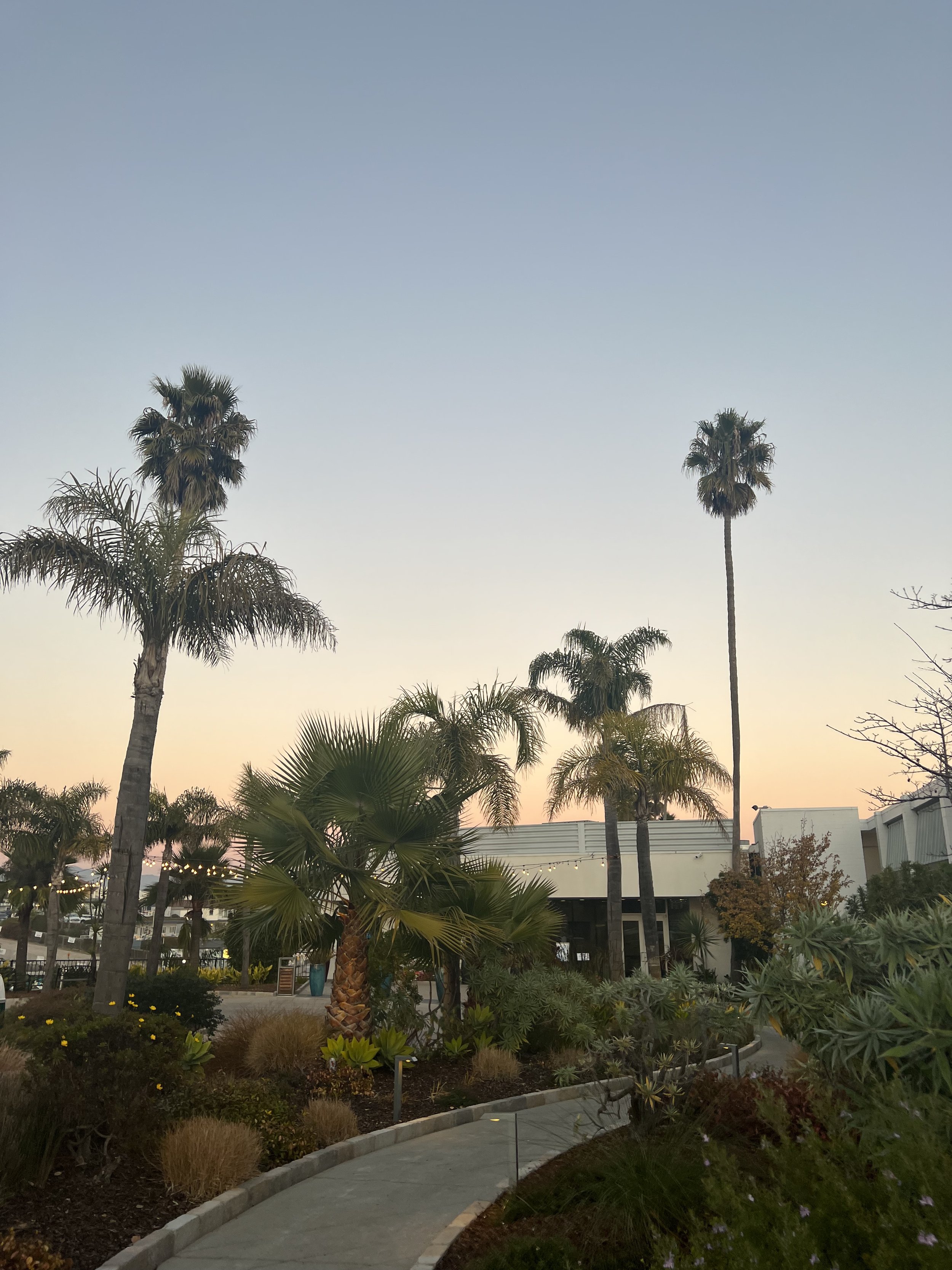 IMG_6497.jpeg