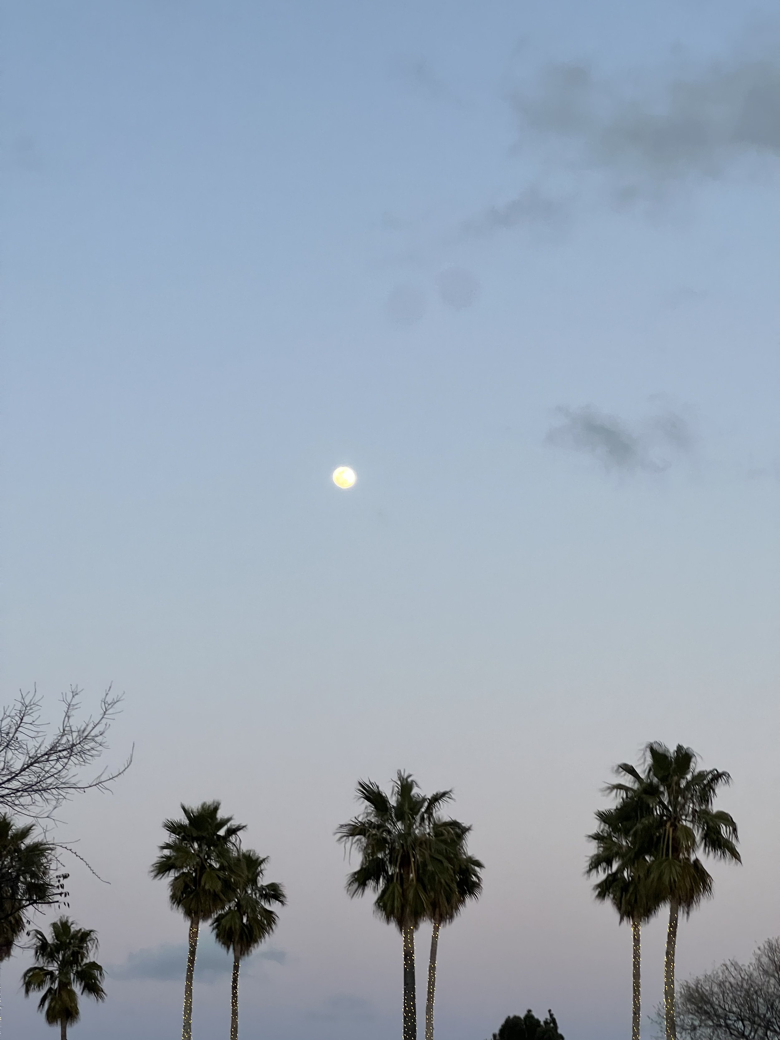 IMG_7598.jpeg