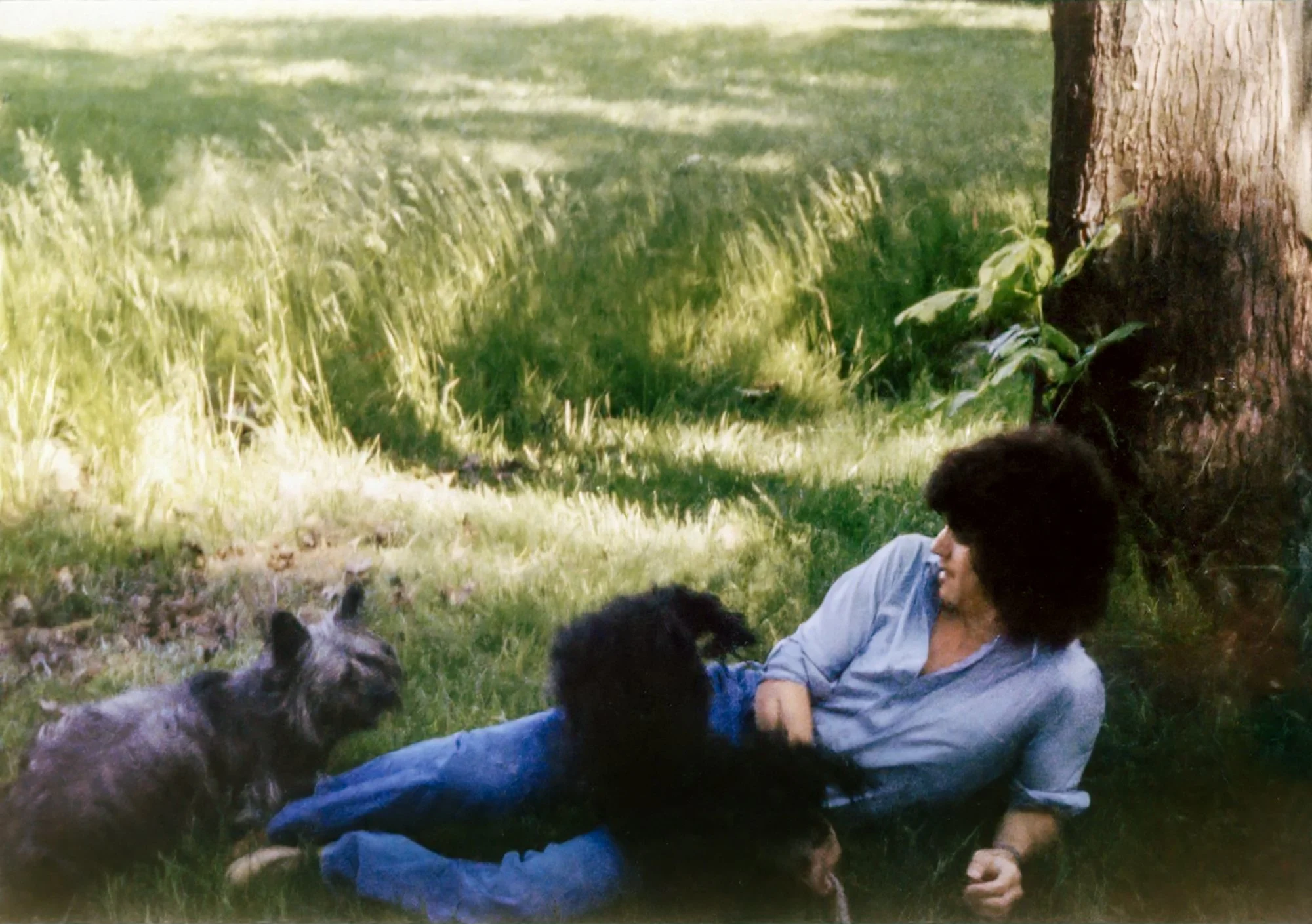 Rob hanging out in the Schramke's back yard with the family dogs