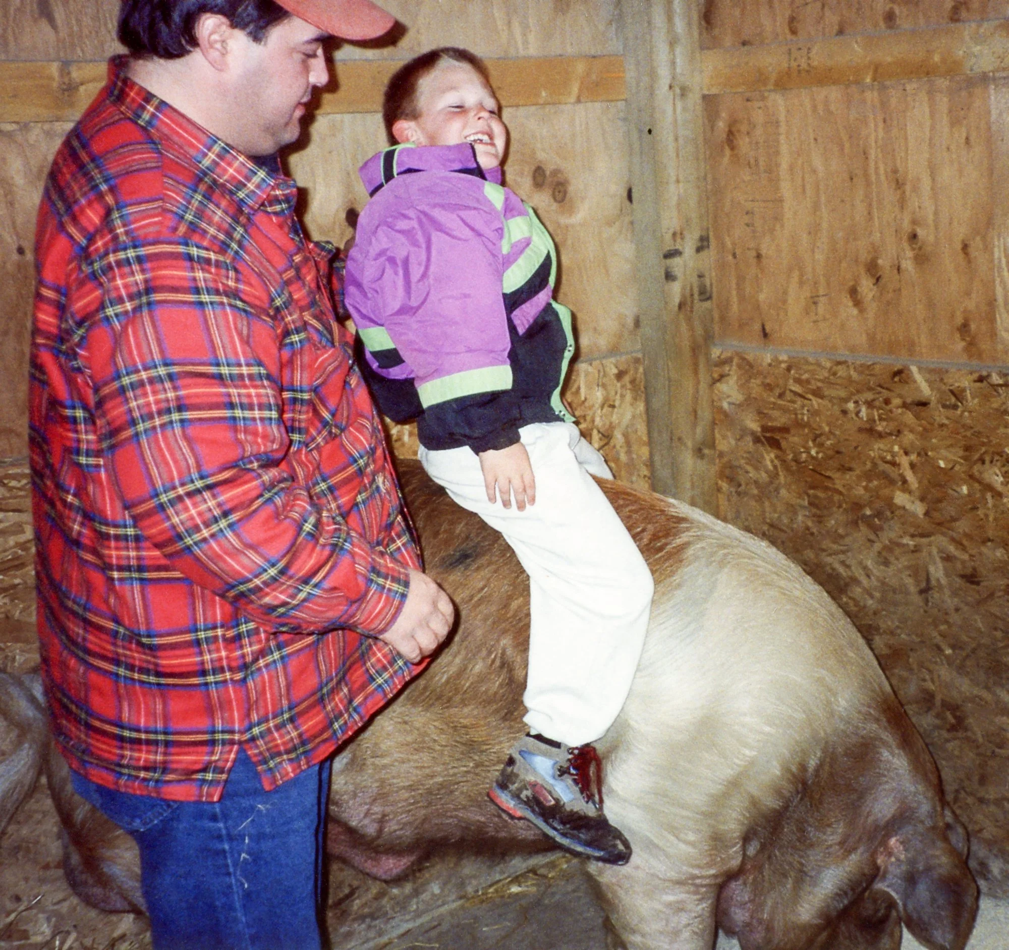 Uncle Bill is keeping Erik safe on top of one of grandpa’s pigs.