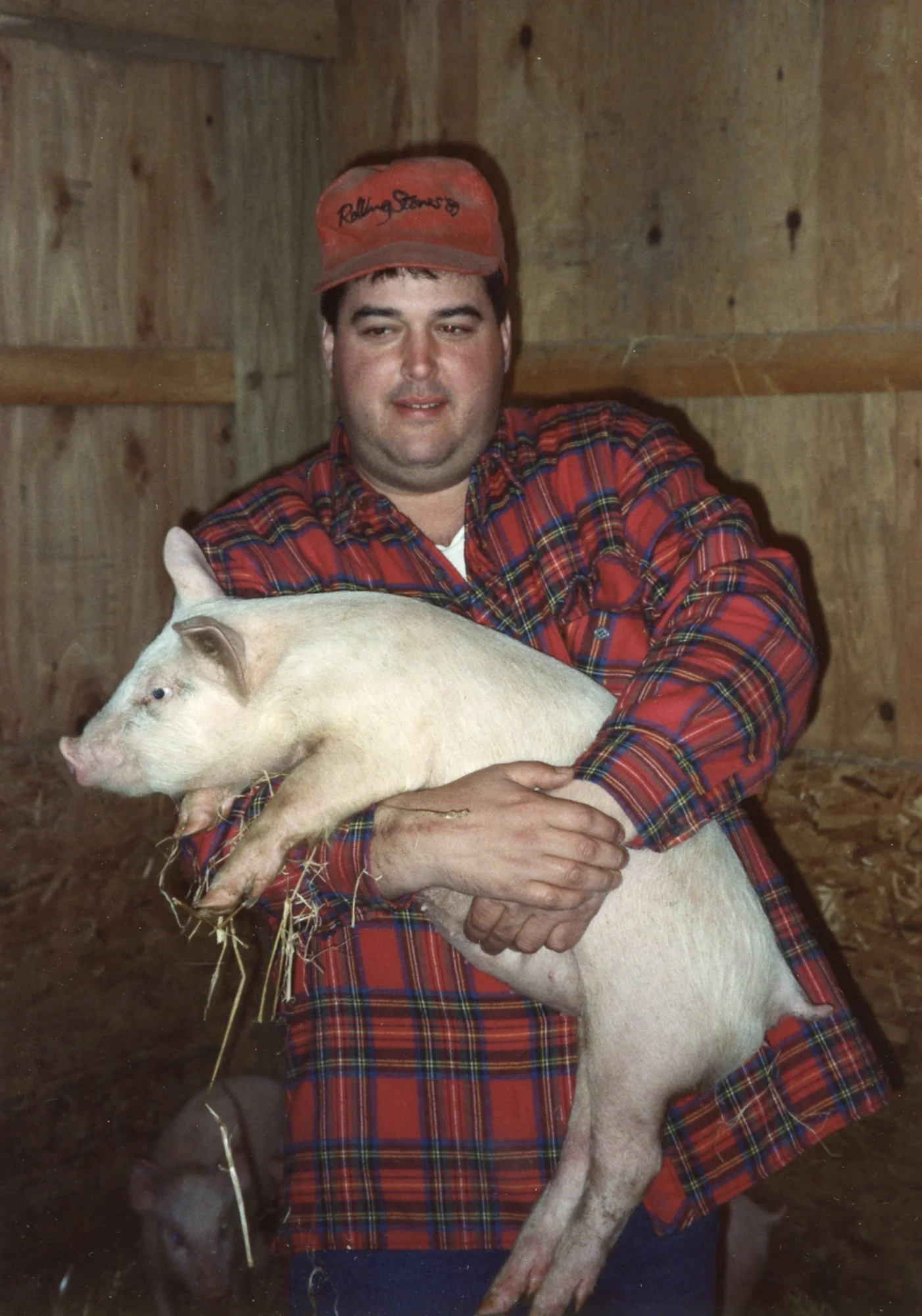 Bill helping with the pigs on the Travis farm.
