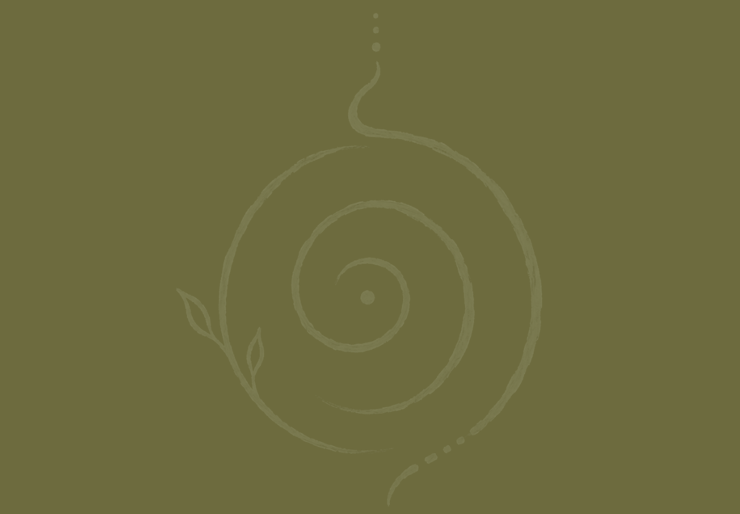 A line drawing of a snail shell with a small leaf, set against a green background.