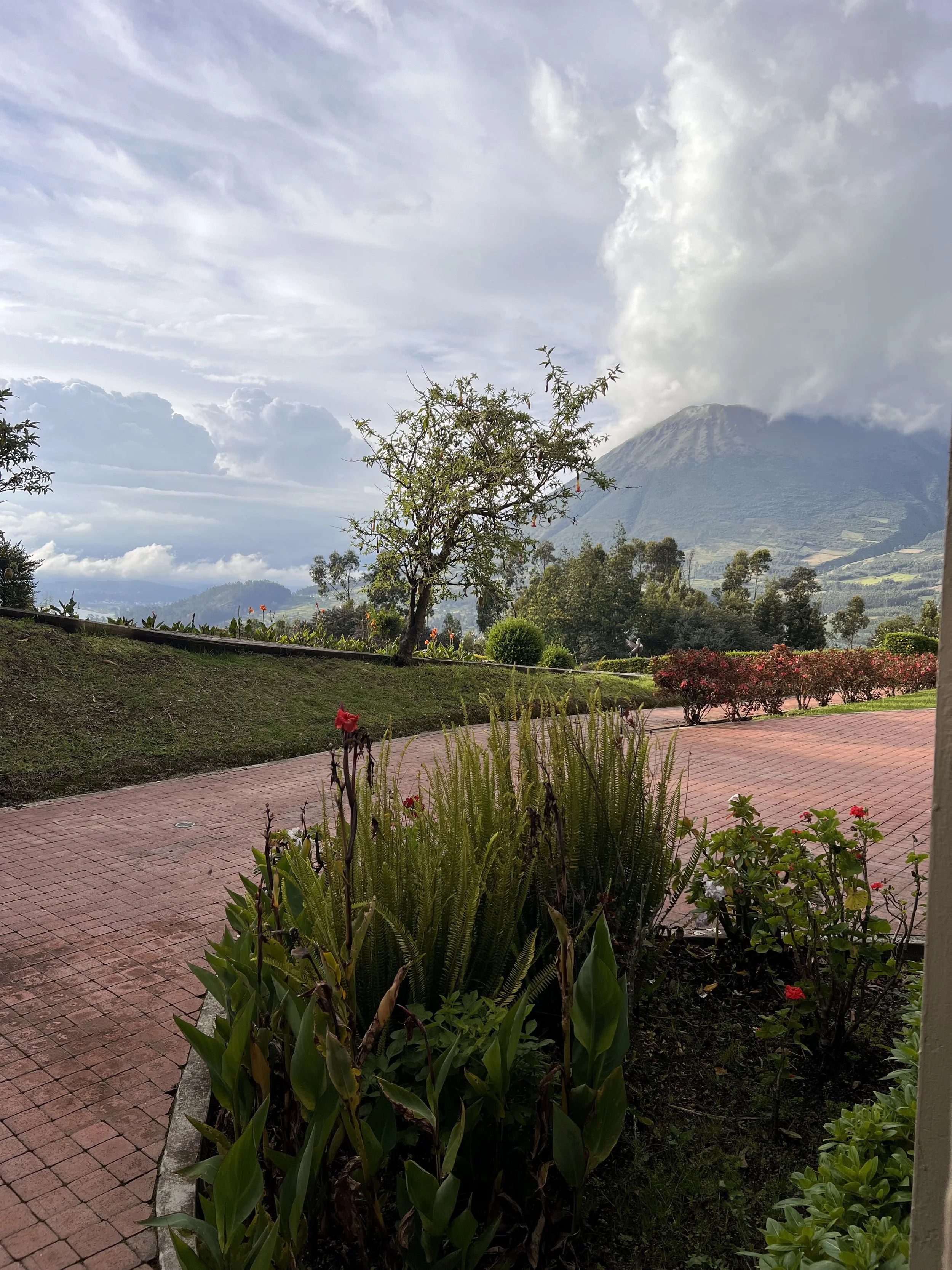 A scenic view of a mountain with a cloud covering the top, greenery and trees in the foreground, a brick-paved walkway, and a cloudy sky.