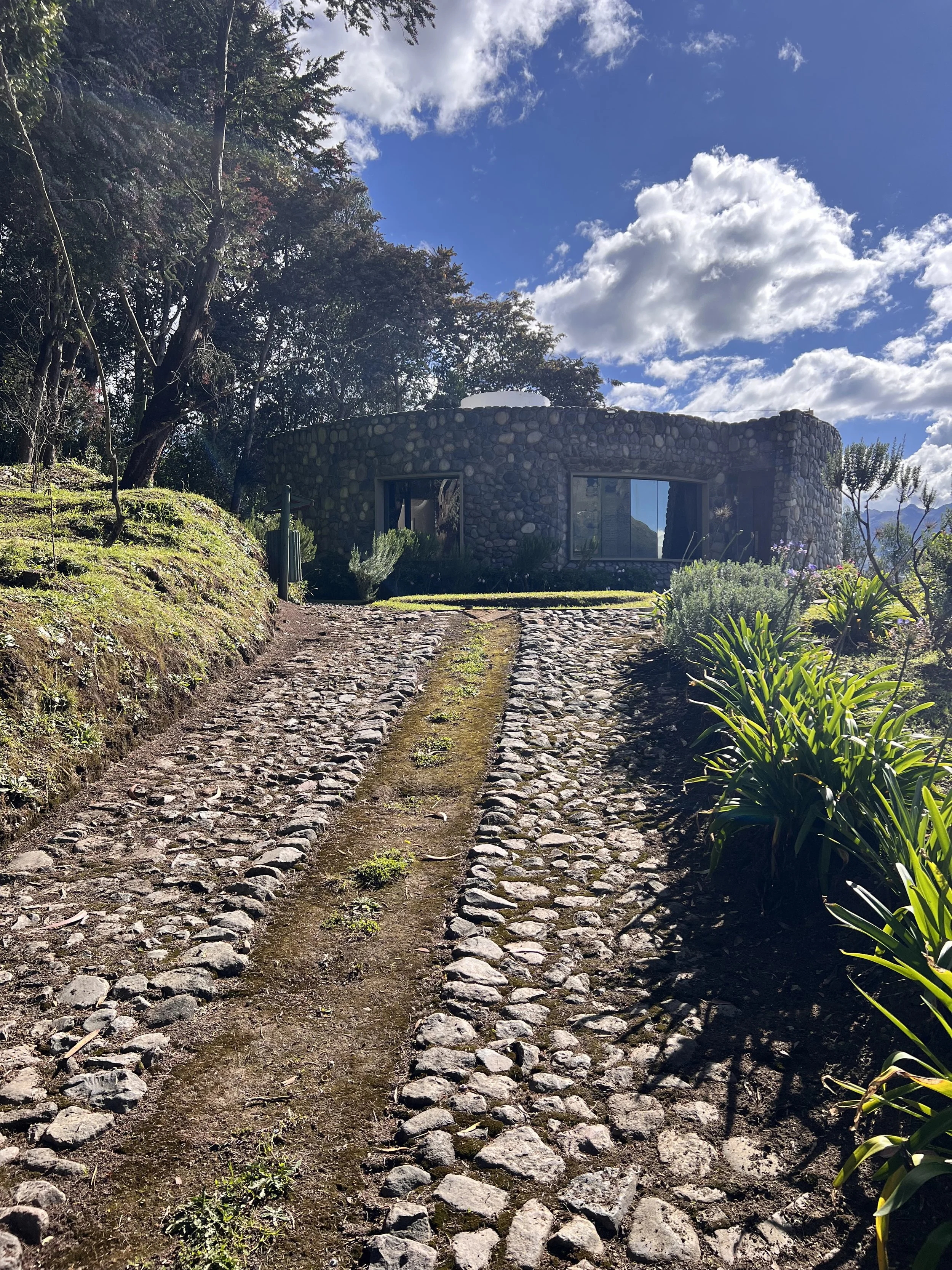 A stone pathway leading to a house with large glass windows, surrounded by greenery and trees, under a sky with clouds.