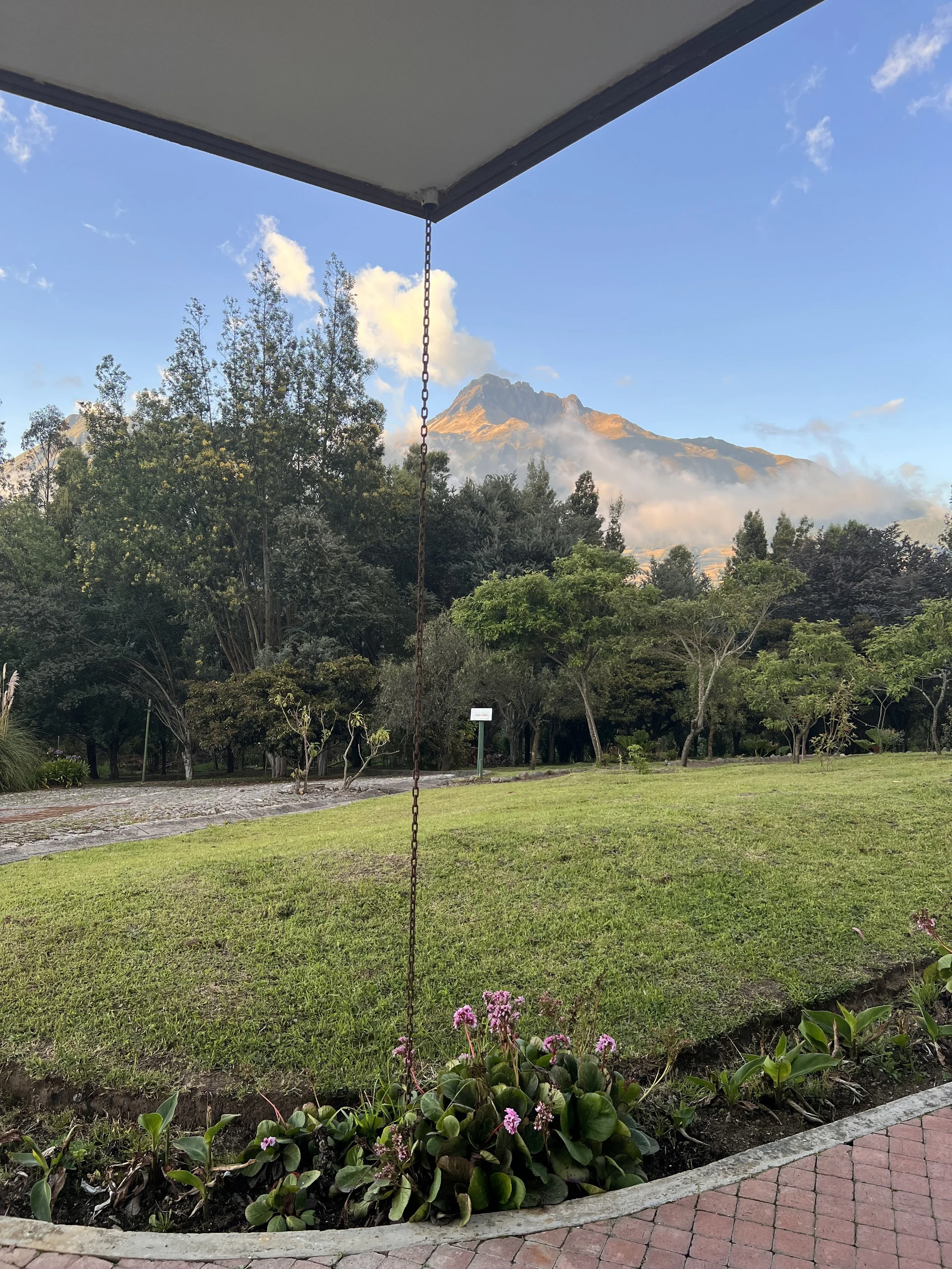 View of a green park with trees and plants, cobblestone pathway, a distance sign, and a mountain in the background with some clouds around its peak.