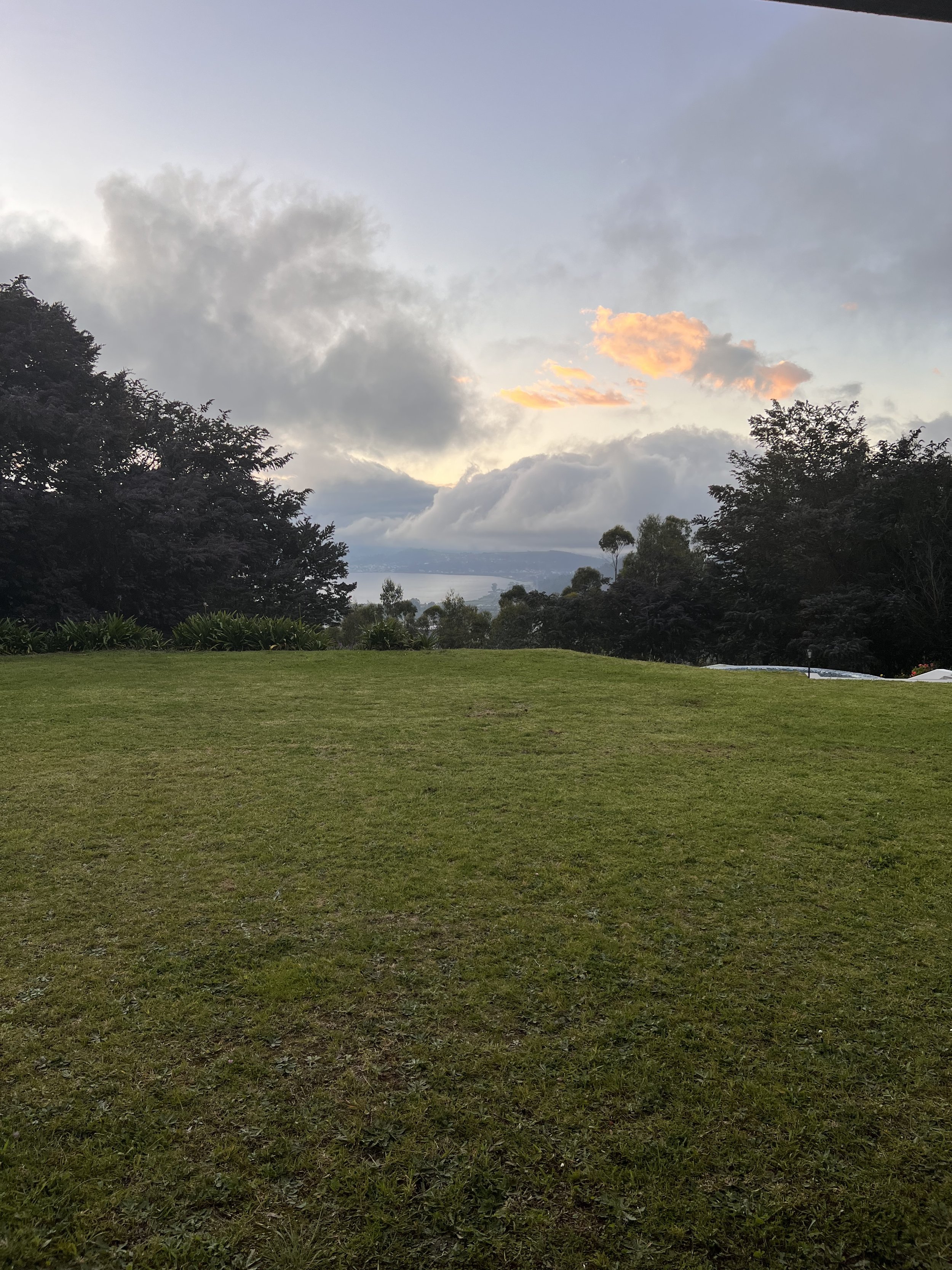 A grassy open field with trees and bushes along the edge, a body of water in the distance, and a mostly cloudy sky with some pinkish-orange clouds near sunset.