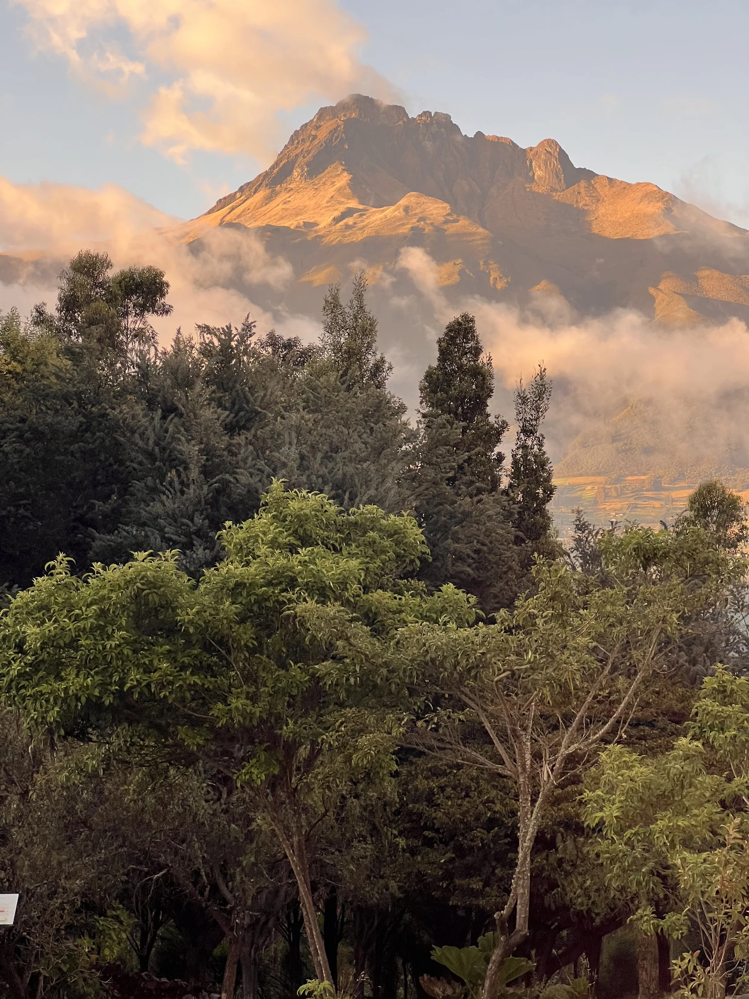 A mountain with rugged peaks and slopes covered in grass, surrounded by mist and clouds, with forest and greenery in the foreground.