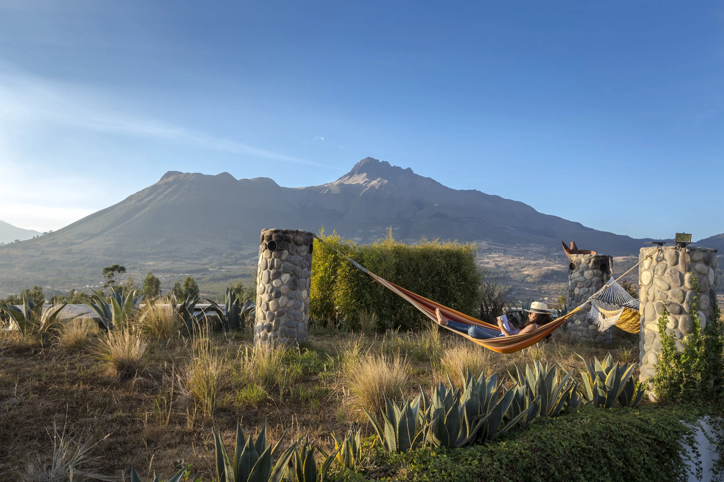 A person lying in a hammock surrounded by desert plants with a mountain in the background under a clear blue sky.