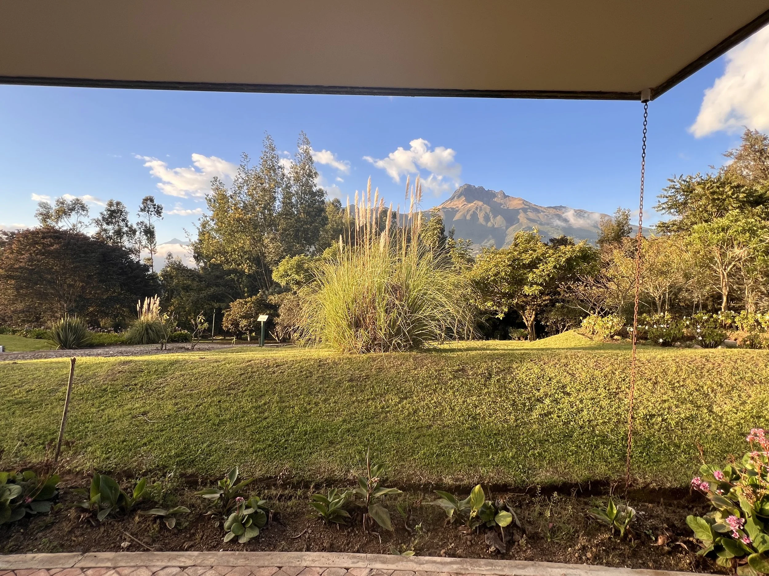 View of a lush garden with trees, plants, and flowers, with a mountain in the background under a clear blue sky with some clouds.