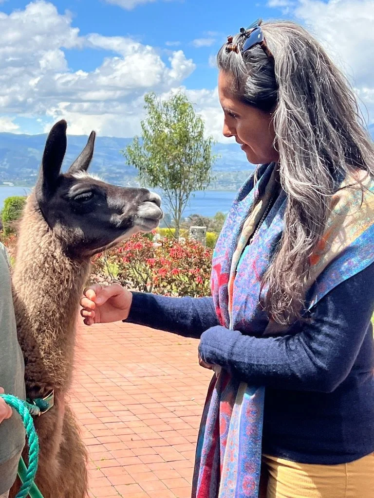 A woman with long gray hair and sunglasses interacting with a llama outdoors, with mountains, a lake, and a partly cloudy sky in the background.