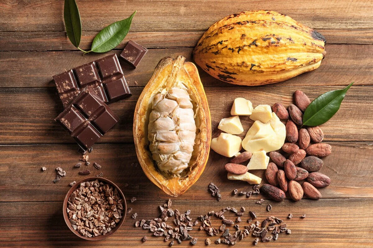 Cacao pods, chunks of white chocolate, cacao nibs, chopped dark chocolate, and cocoa beans arranged on a wooden surface with green leaves.