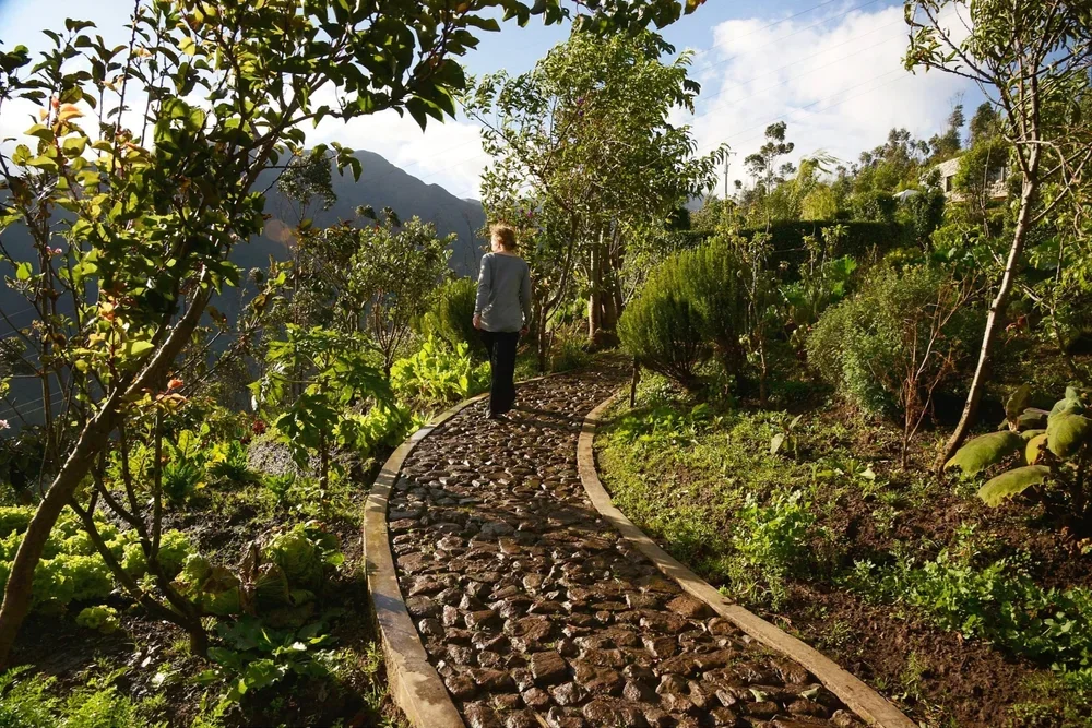 Person walking on a curved cobblestone path through a lush garden with trees and plants, mountain in the background