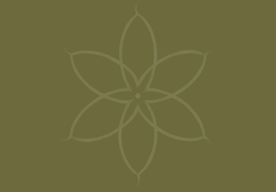 A simple, stylized outline of a six-petaled flower on a muted green background.