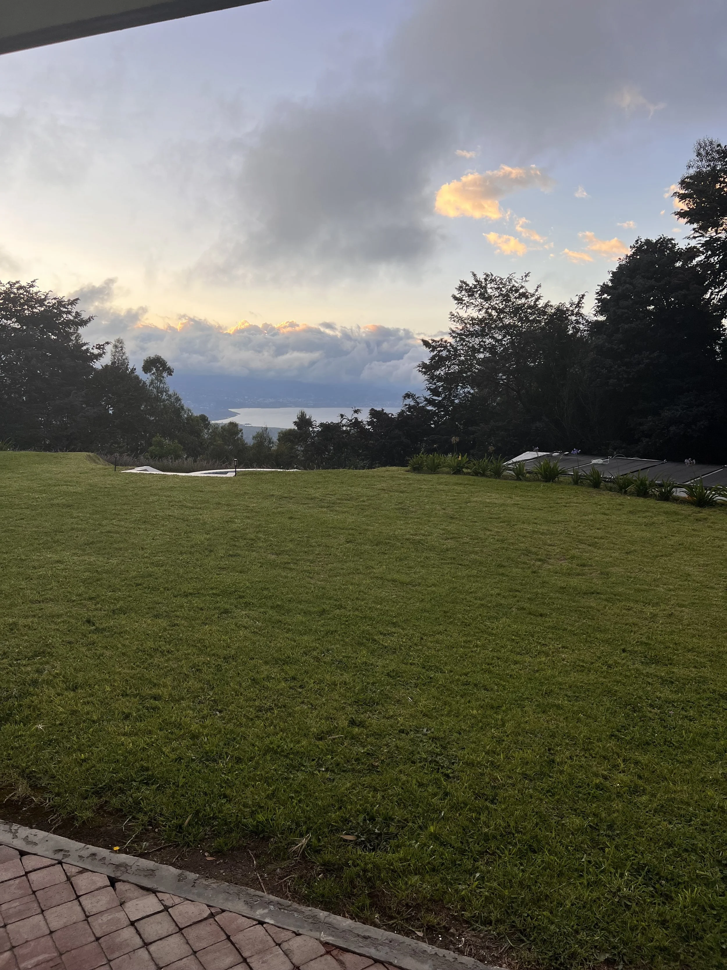 A view of a grassy area with trees in the background, cloudy sky during sunset, and a paved sidewalk in the foreground.